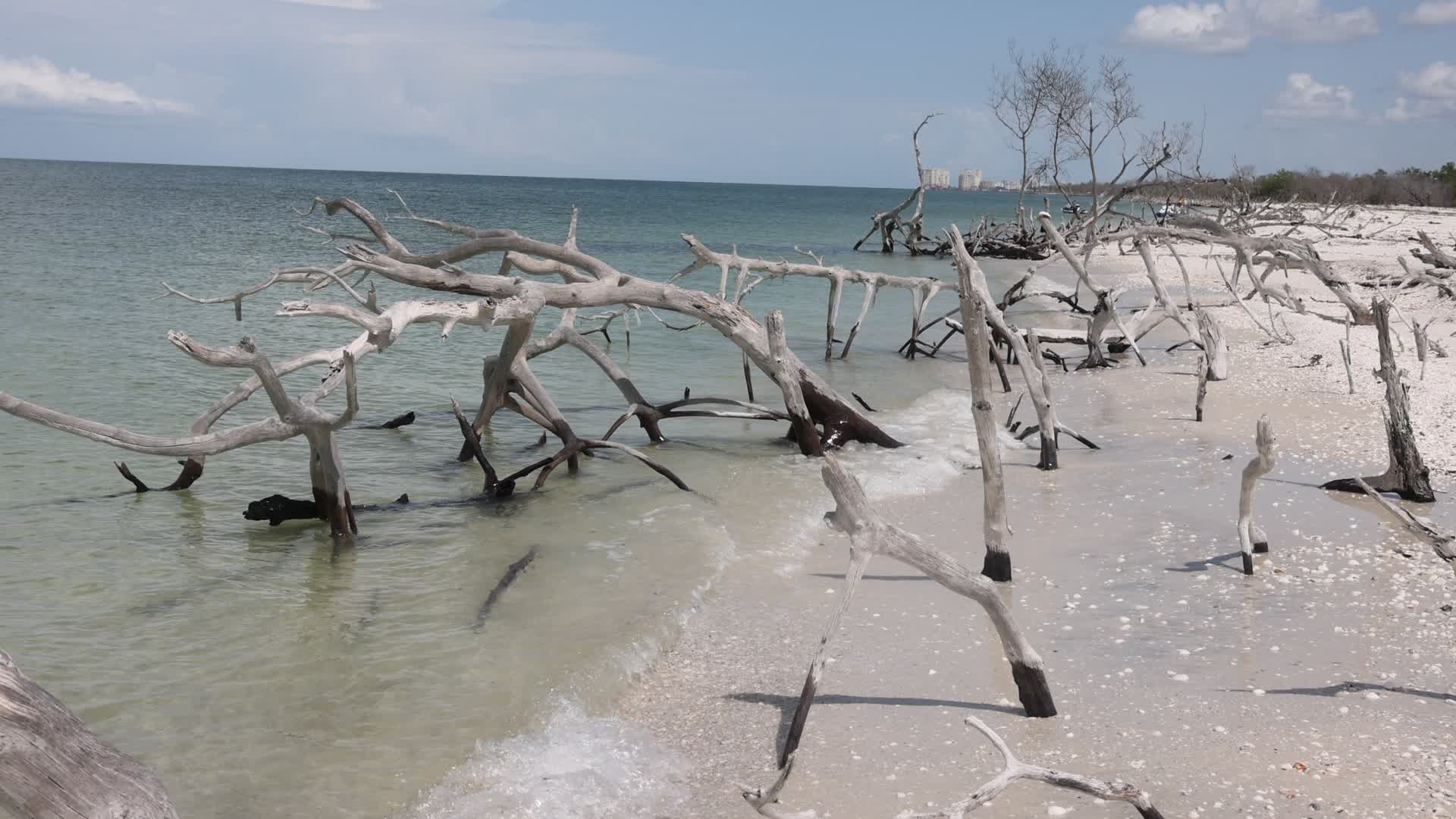 Daily life on Keewaydin Island