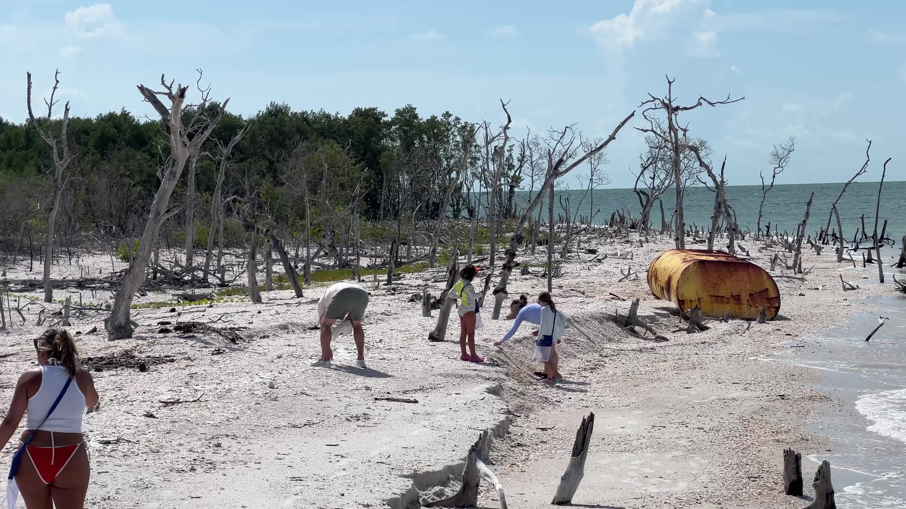 Daily life on Keewaydin Island