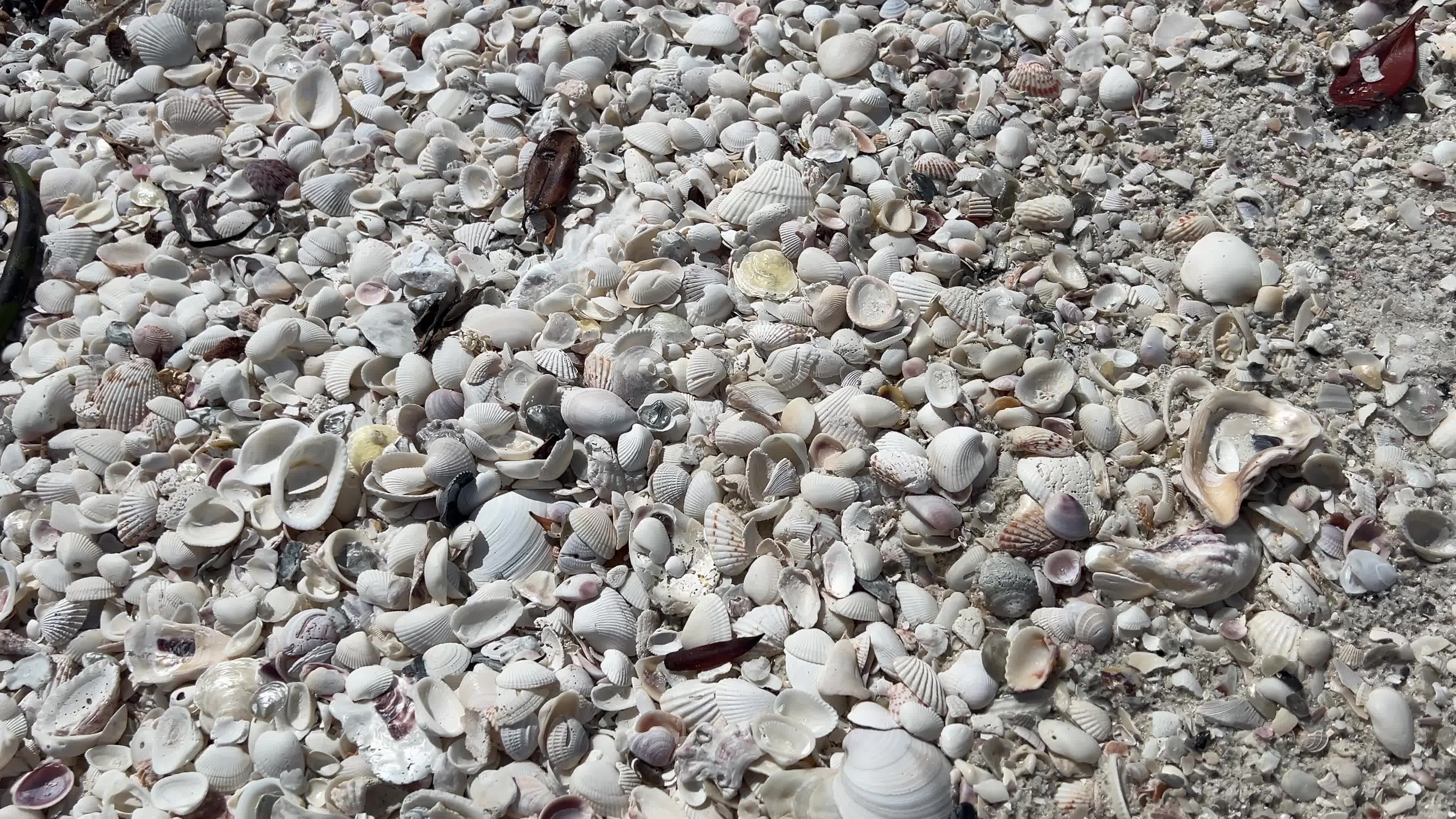 Daily life on Keewaydin Island
