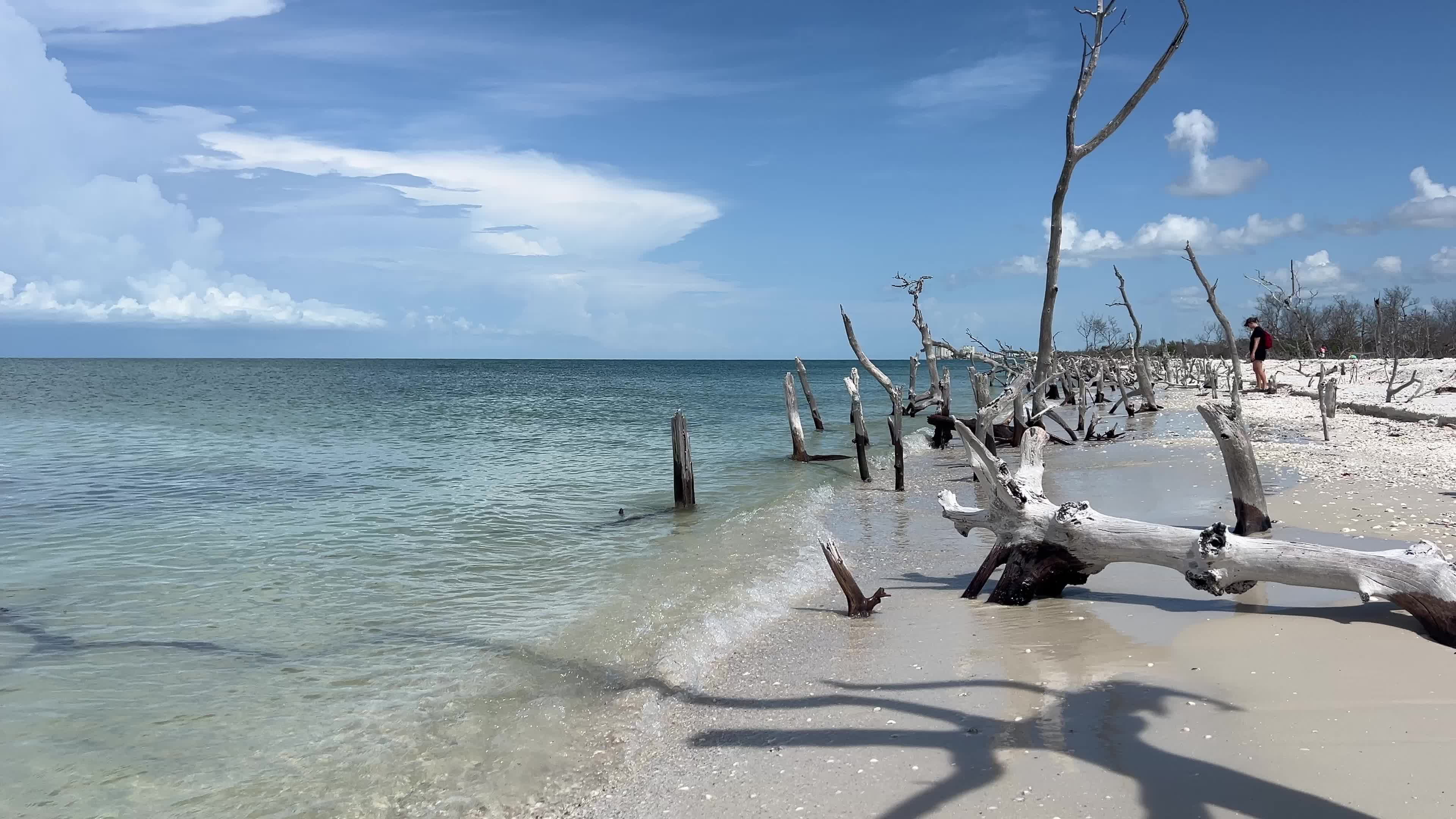 Daily life on Keewaydin Island