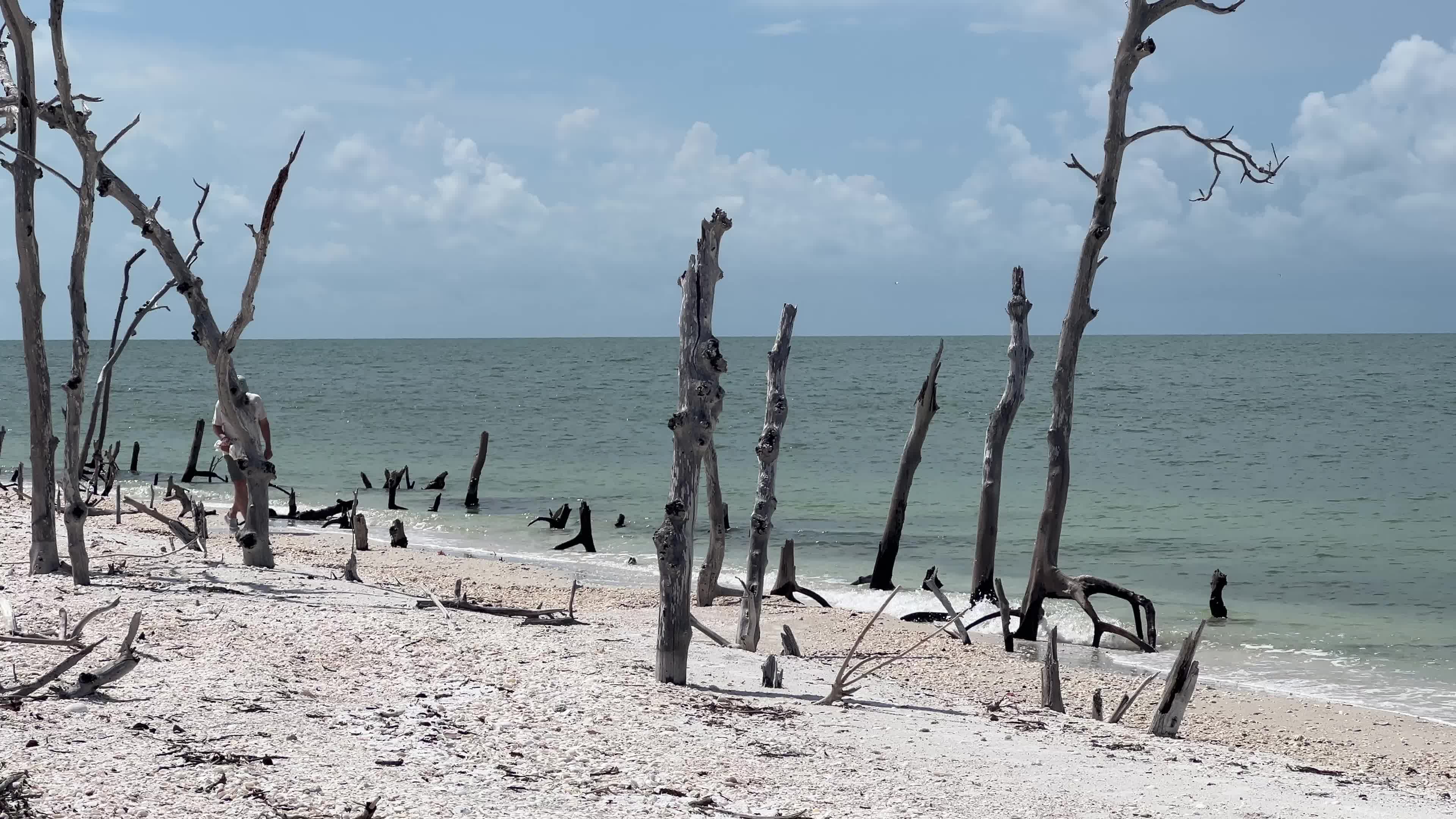 Daily life on Keewaydin Island