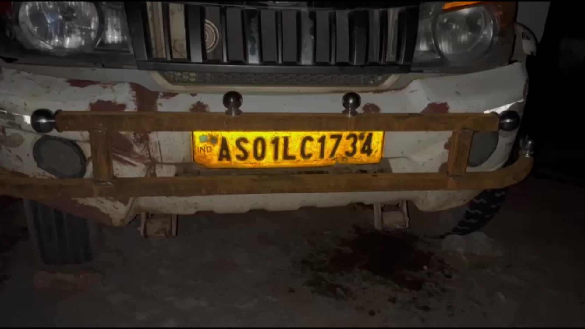 Police seized 14 cattle in Assam , India