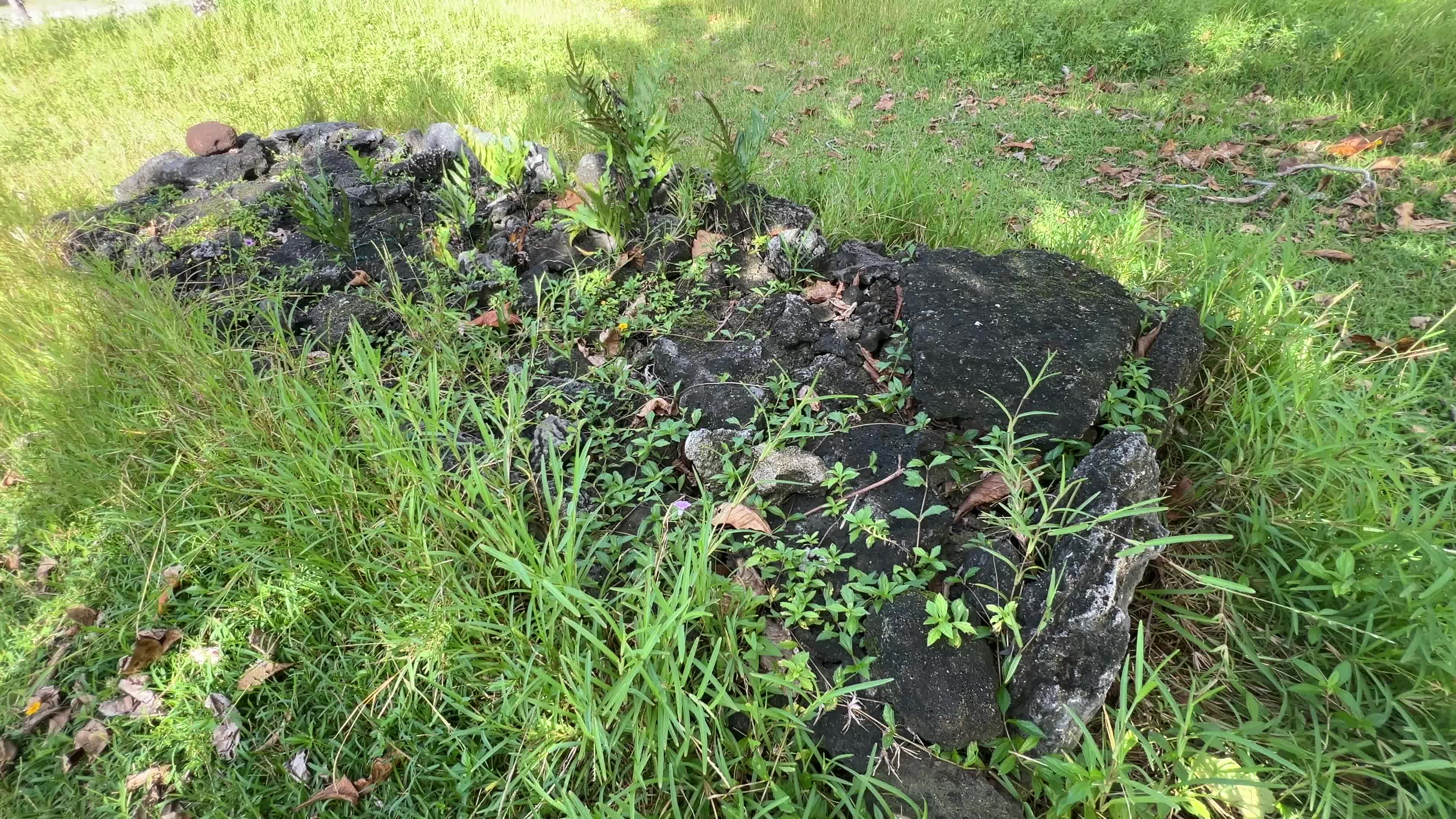 Marae Anini - Ancient Polynesian Temple and Archaeological Site