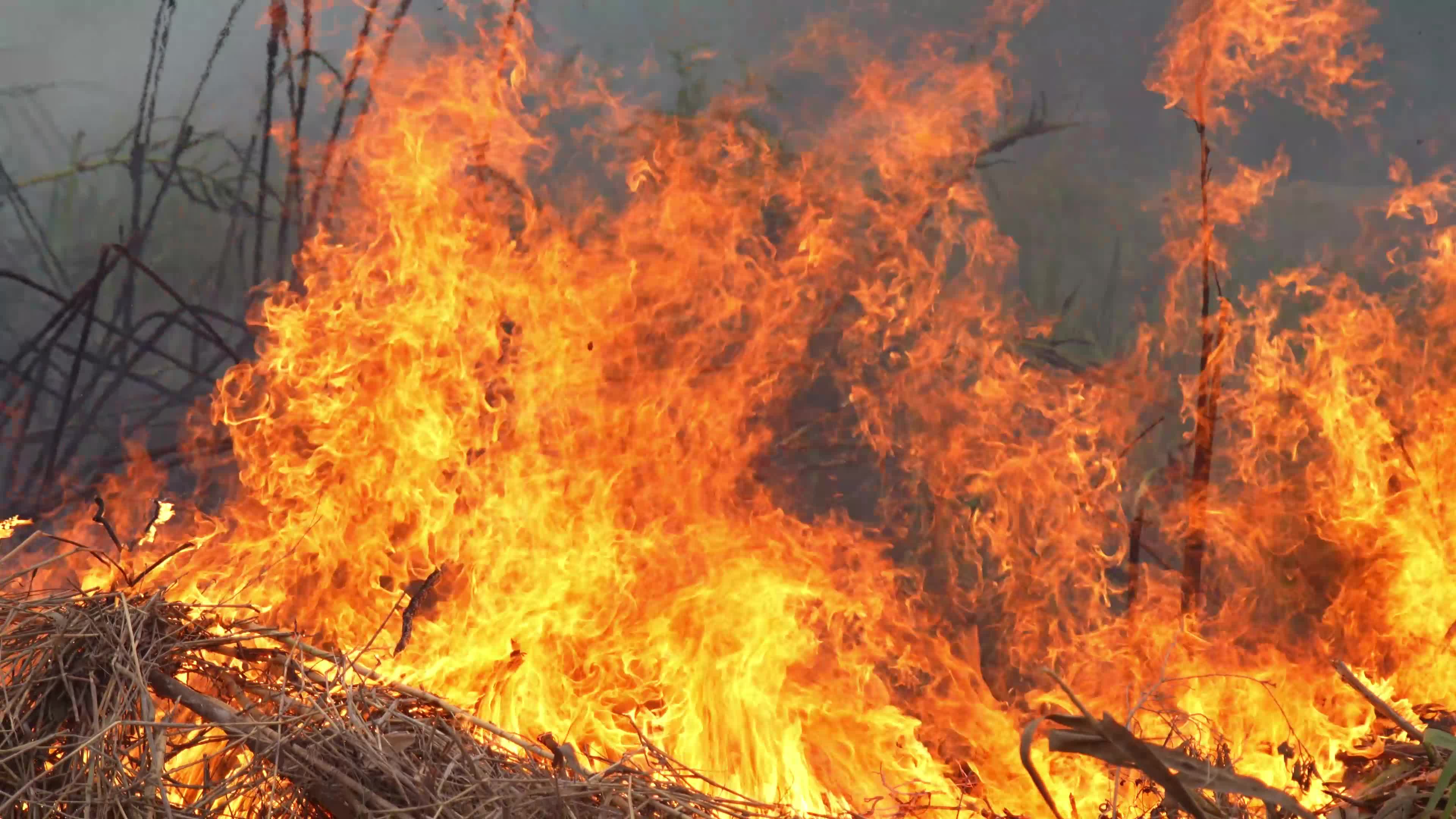 Wildfires Spread Across South Sumatra, Indonesia