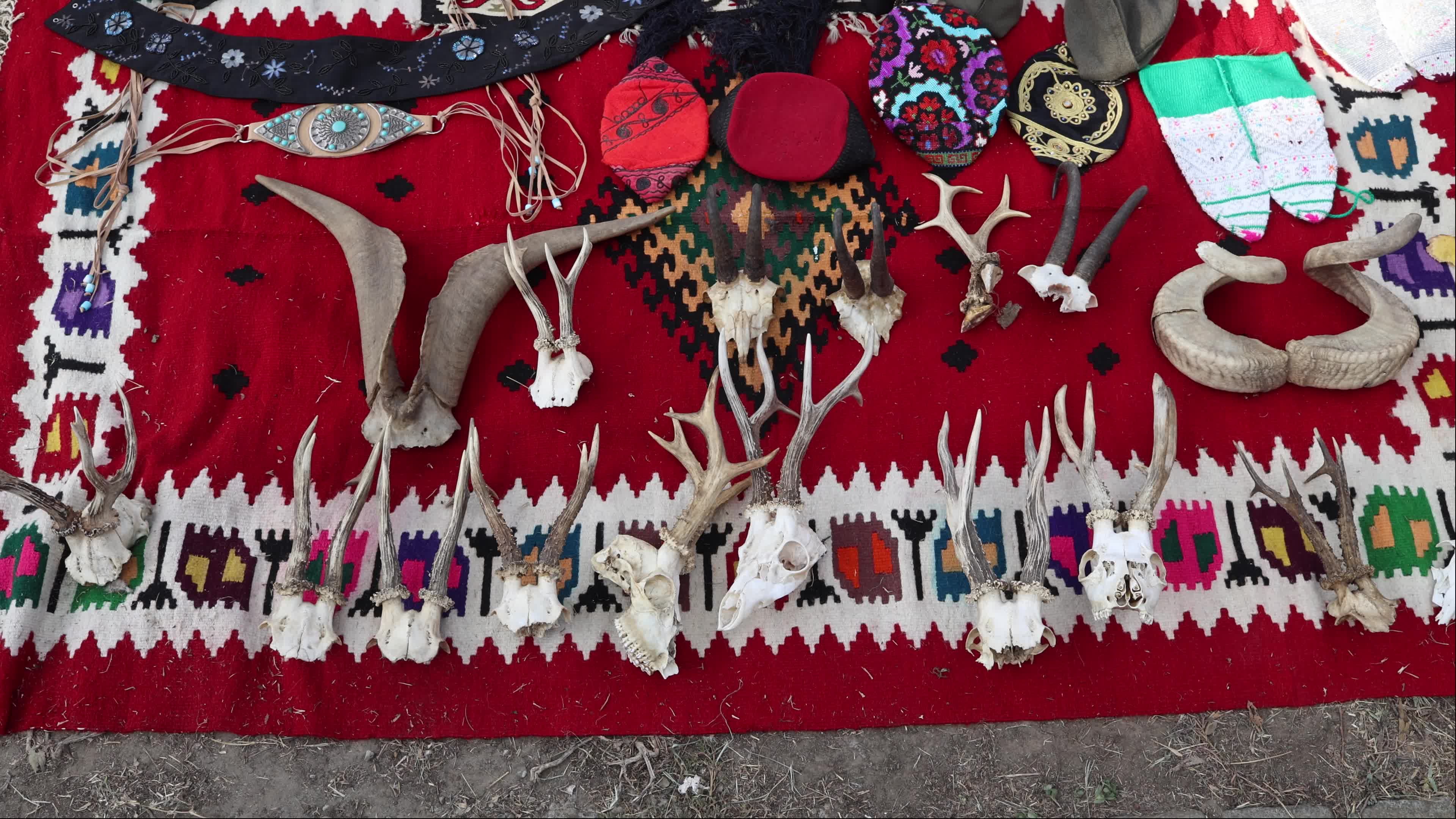 Sale of Various Items in Liman Park, Novi Sad, Serbia