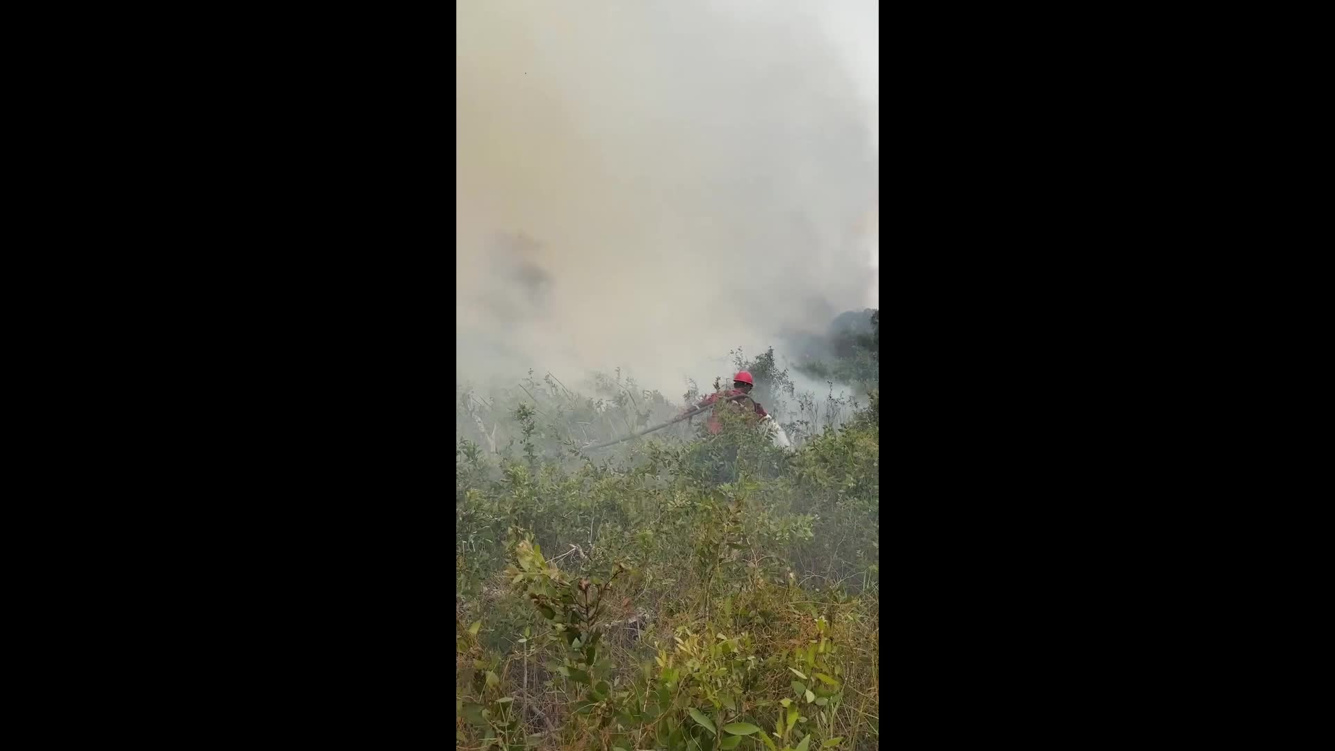Wildfires in Ogan Ilir, South Sumatra, Indonesia
Indonesia Wildfires Affect Air Quality in Singapore and Malaysia