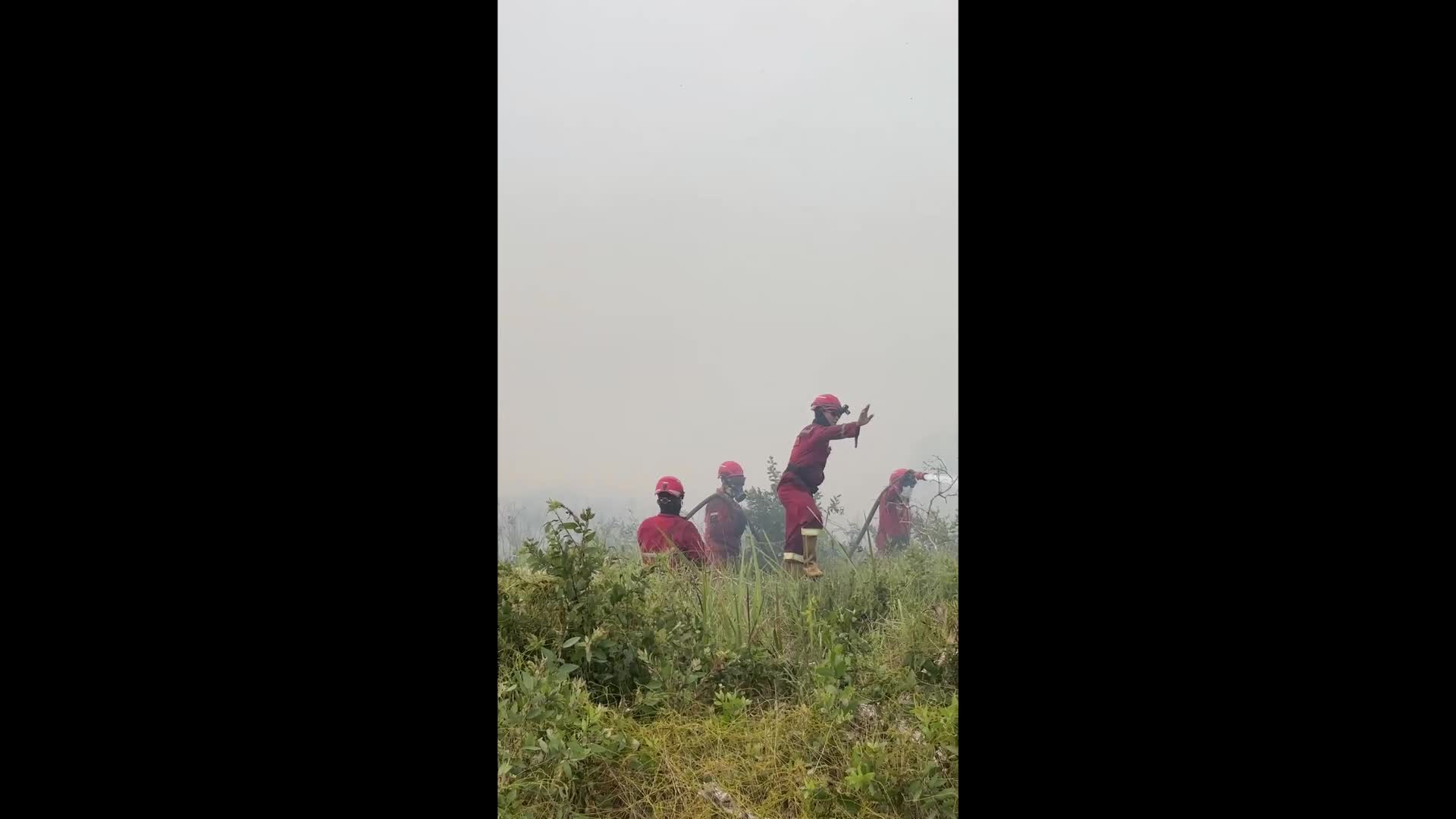 Wildfires in Ogan Ilir, South Sumatra, Indonesia
Indonesia Wildfires Affect Air Quality in Singapore and Malaysia