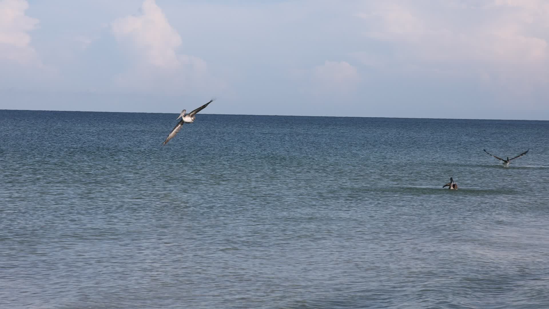 Daily life in Florida, USA