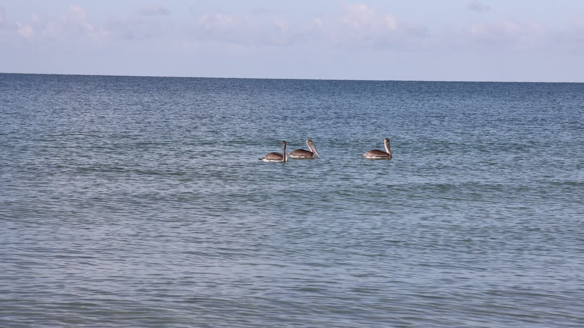 Daily life in Florida, USA