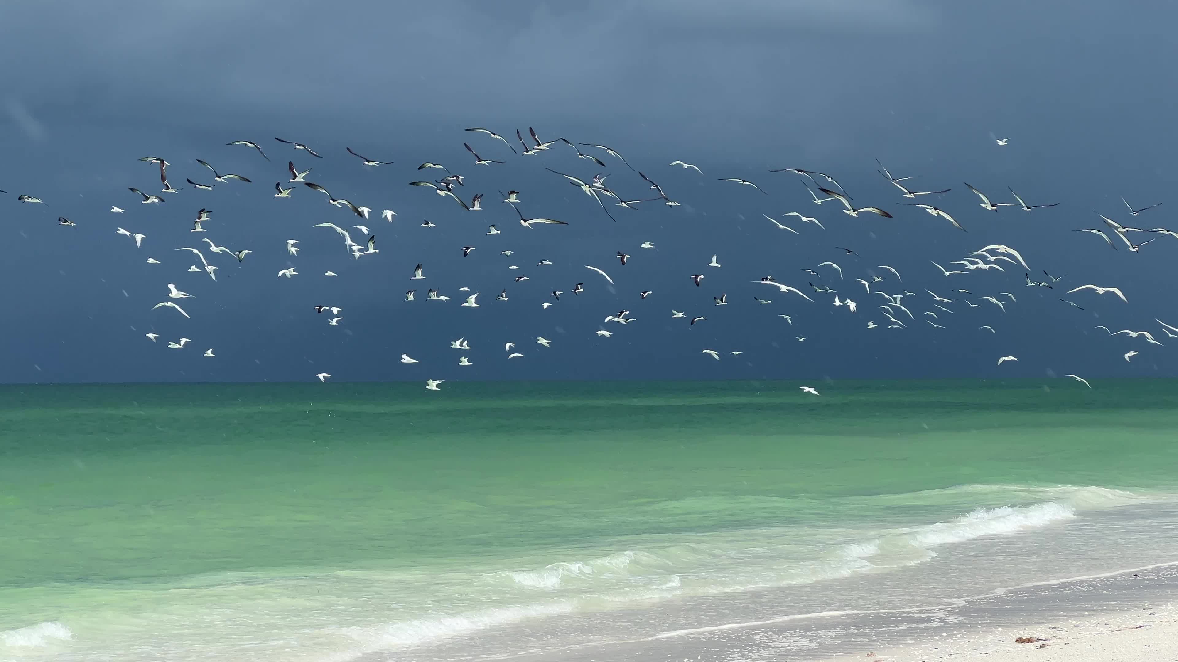 Daily life in Florida, USA