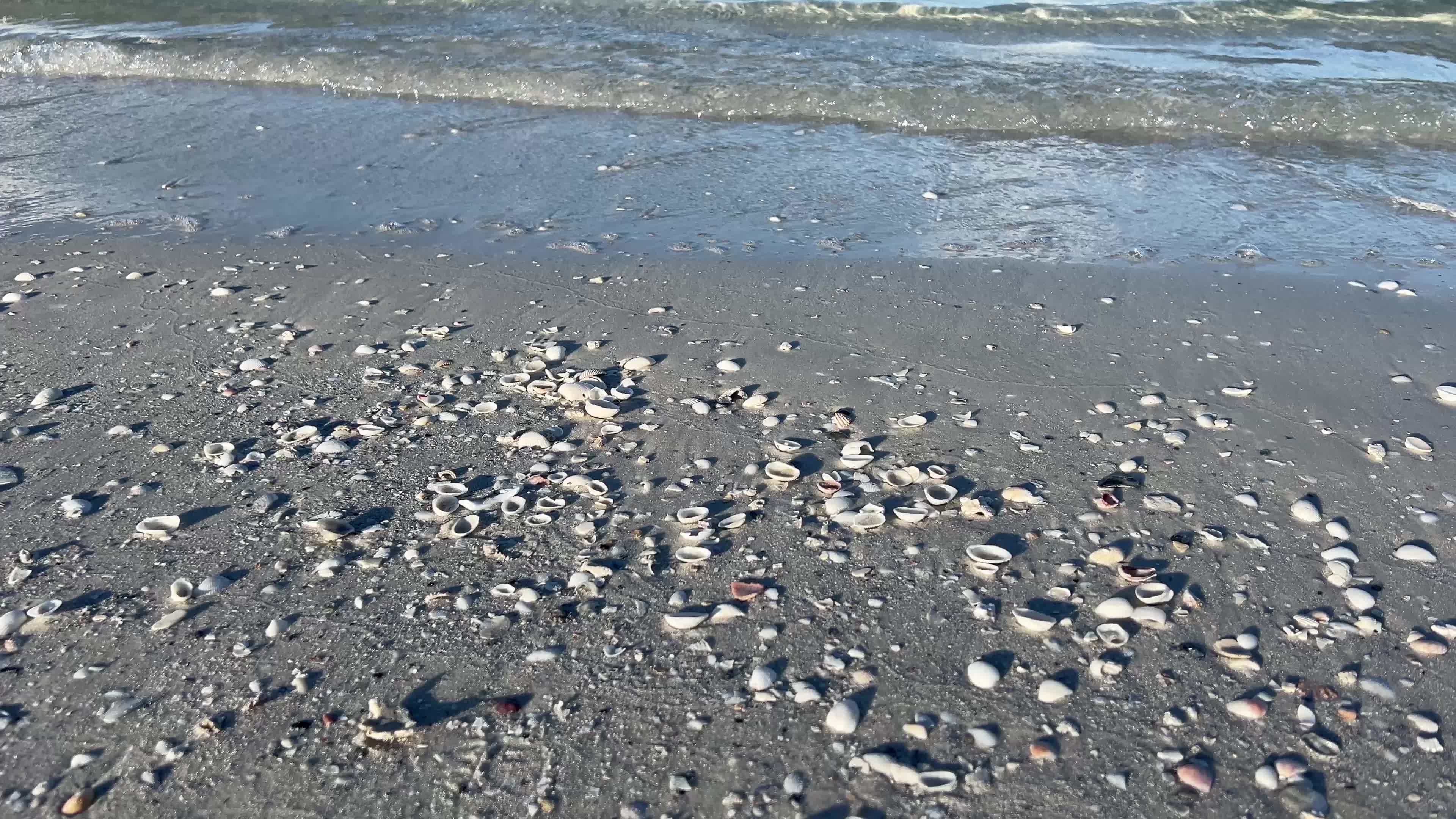 Daily life in Florida, USA