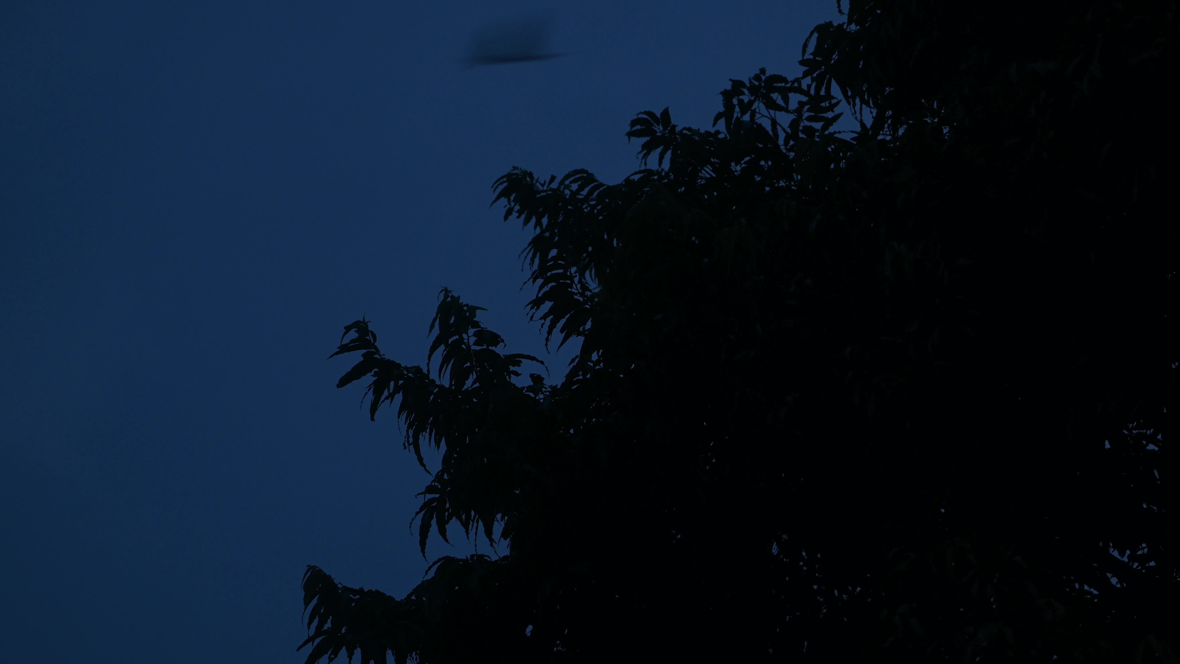 Moon is in the Waxing Crescent phase