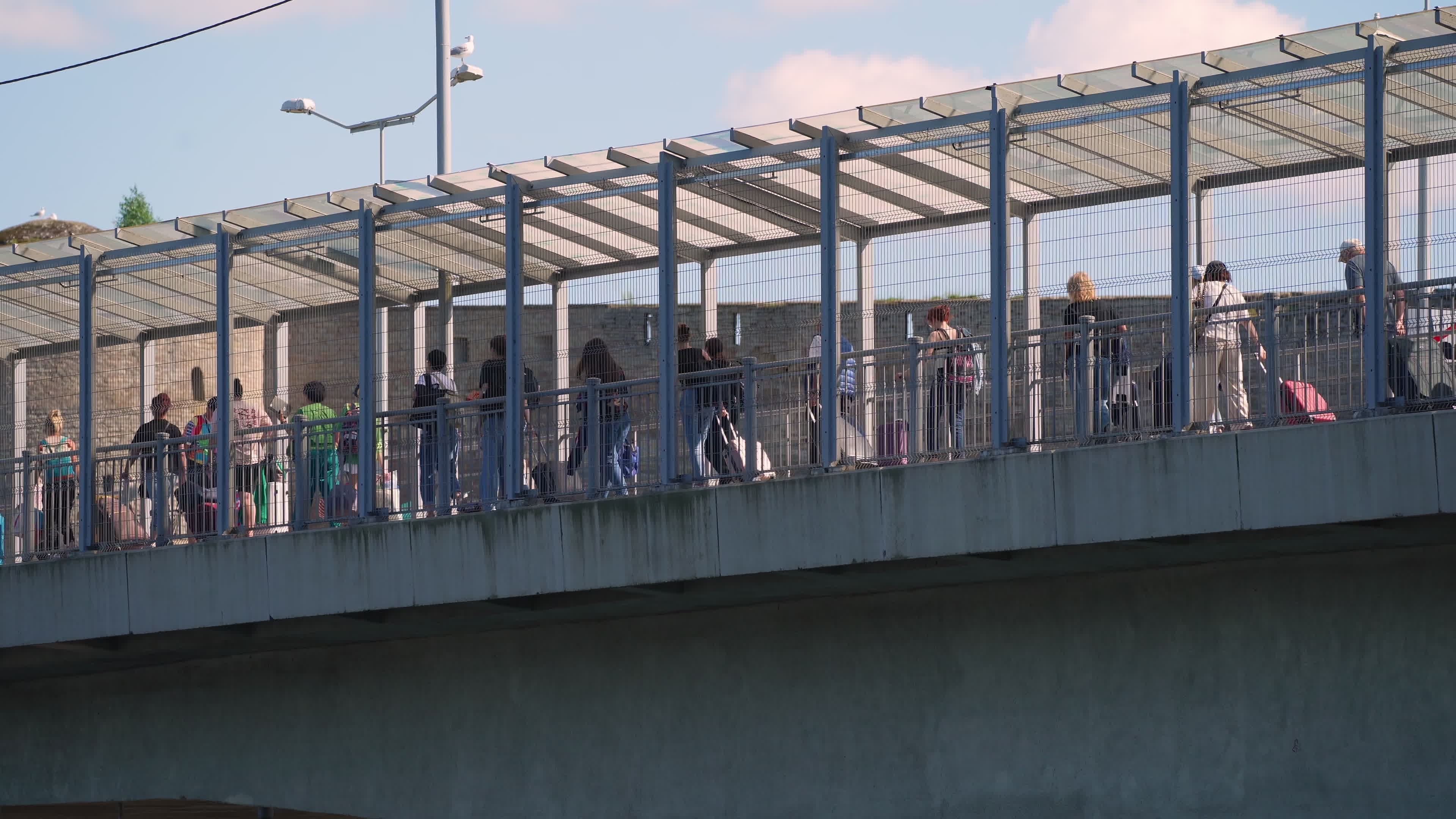 Russia imposes overnight curfew on border with Estonia