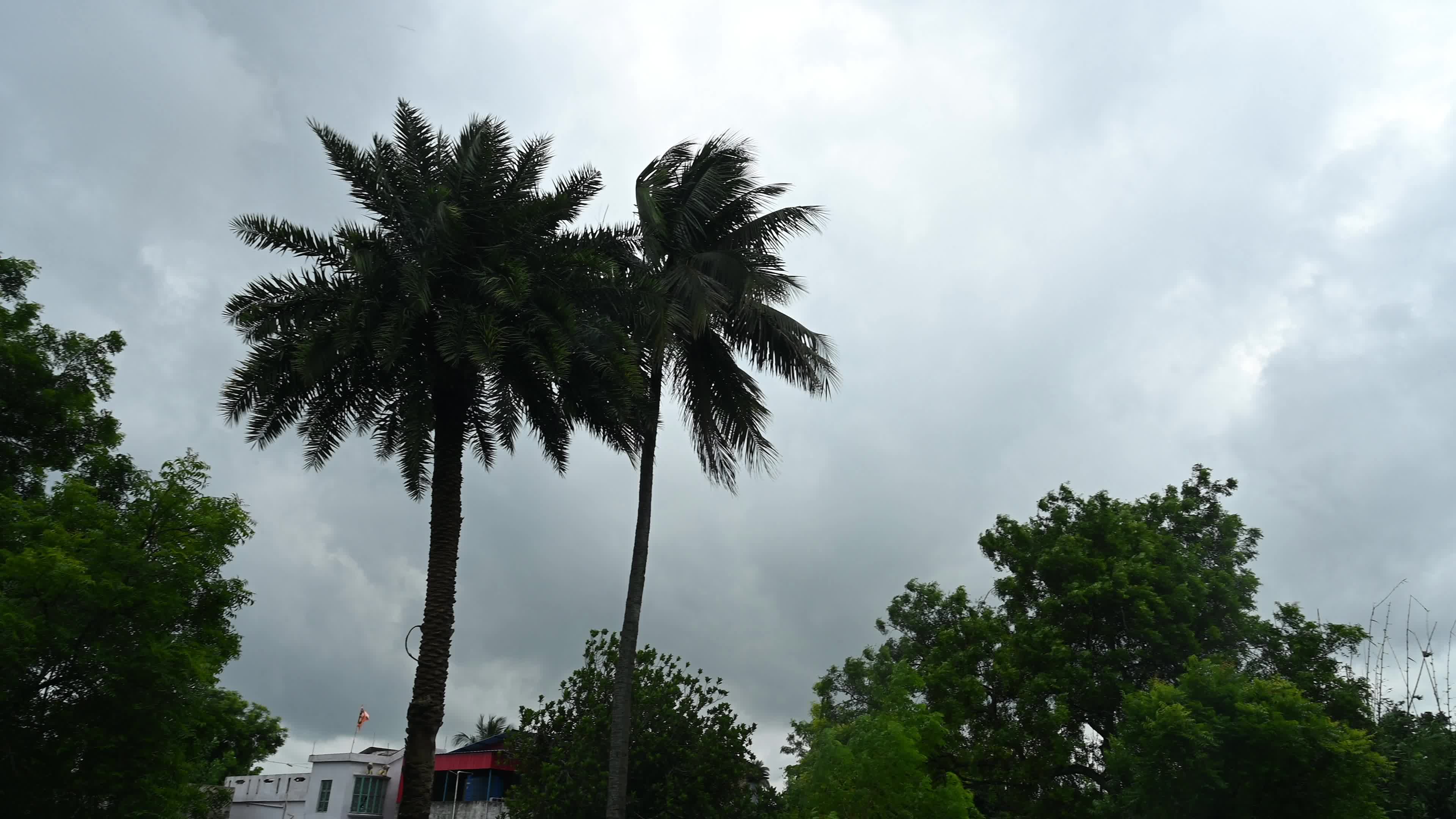 Cyclonic Storm Arnab - India Meteorological Department (IMD)