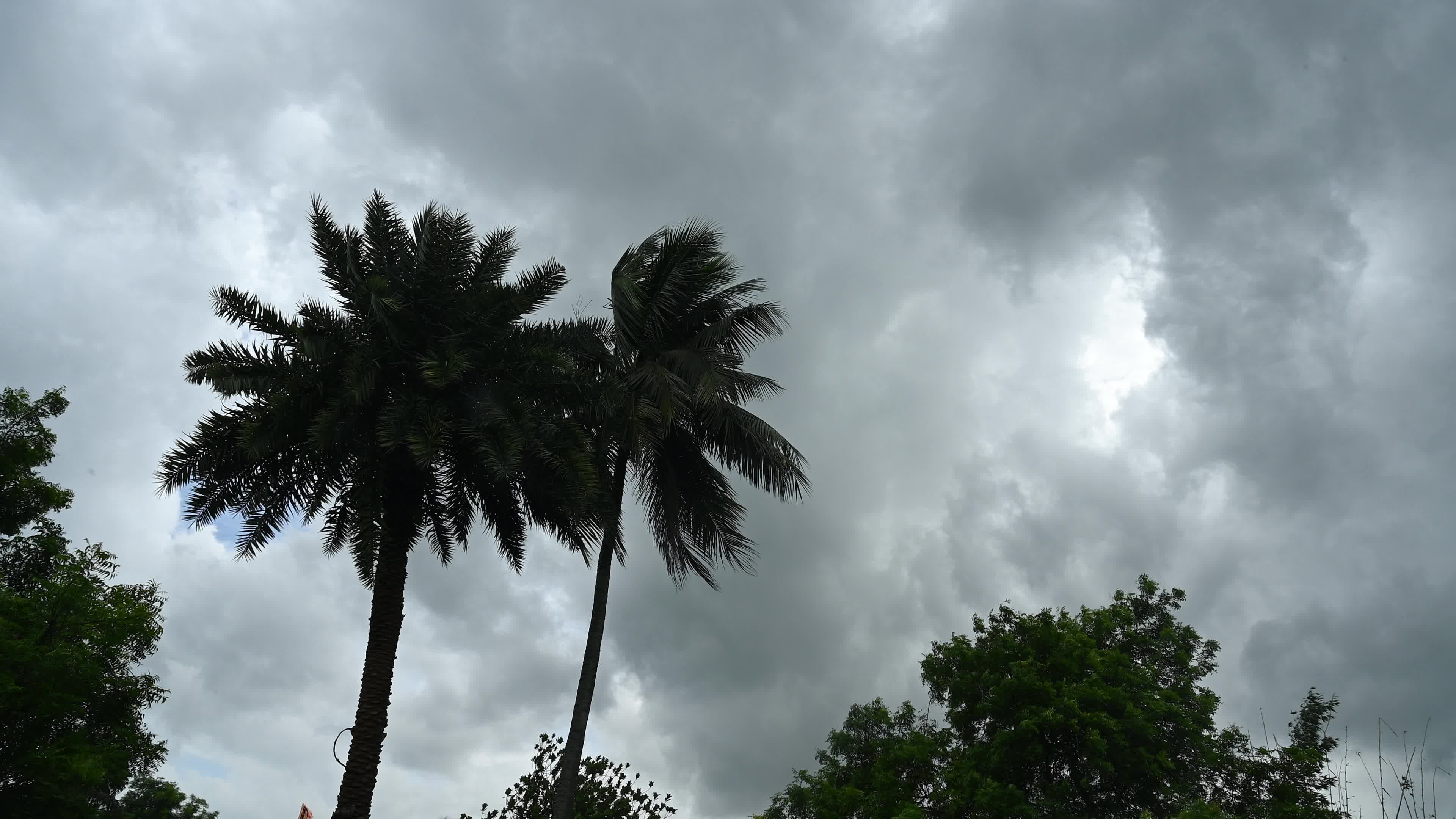 Cyclonic Storm Arnab - India Meteorological Department (IMD)