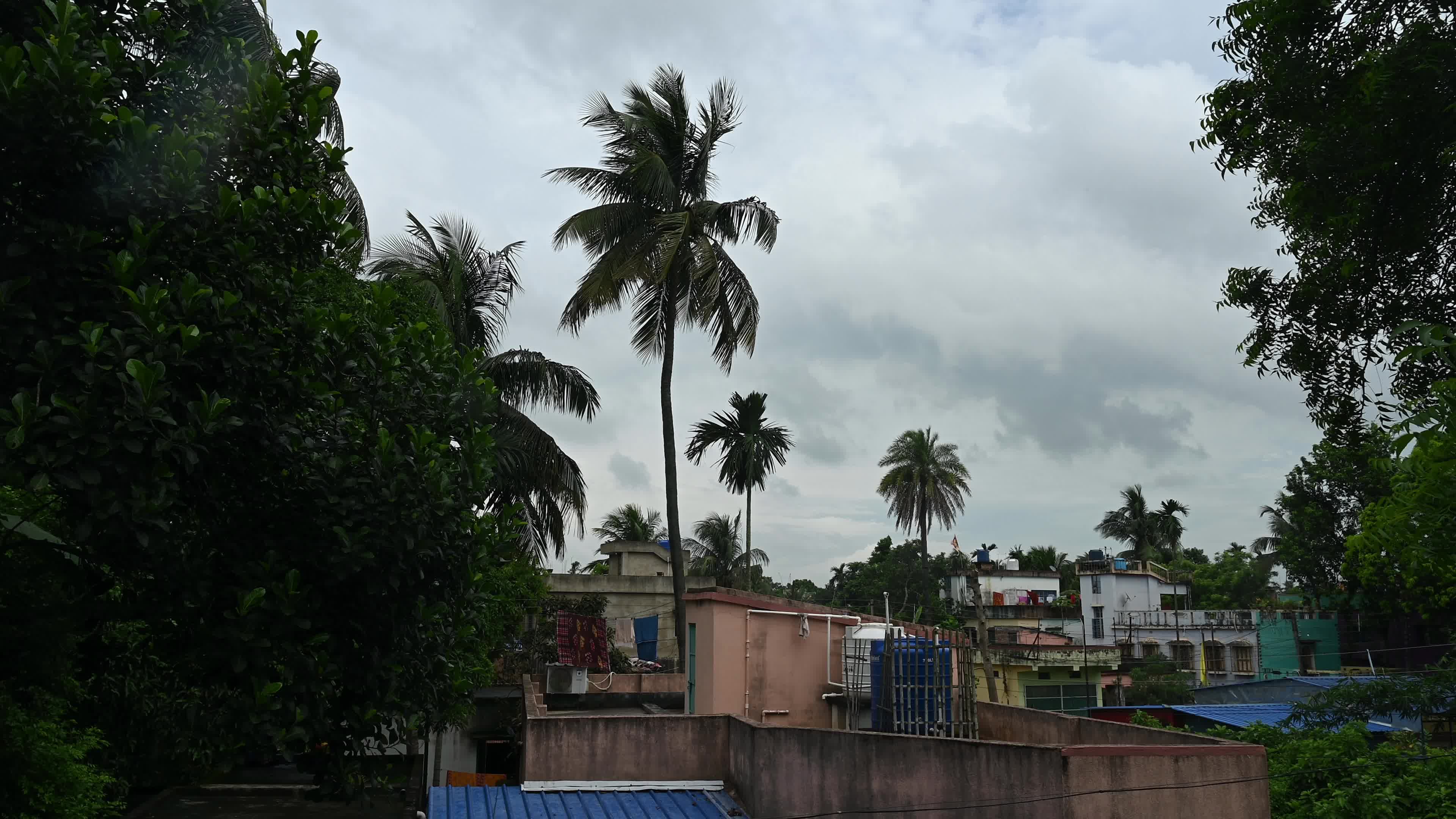Cyclonic Storm Arnab - India Meteorological Department (IMD)