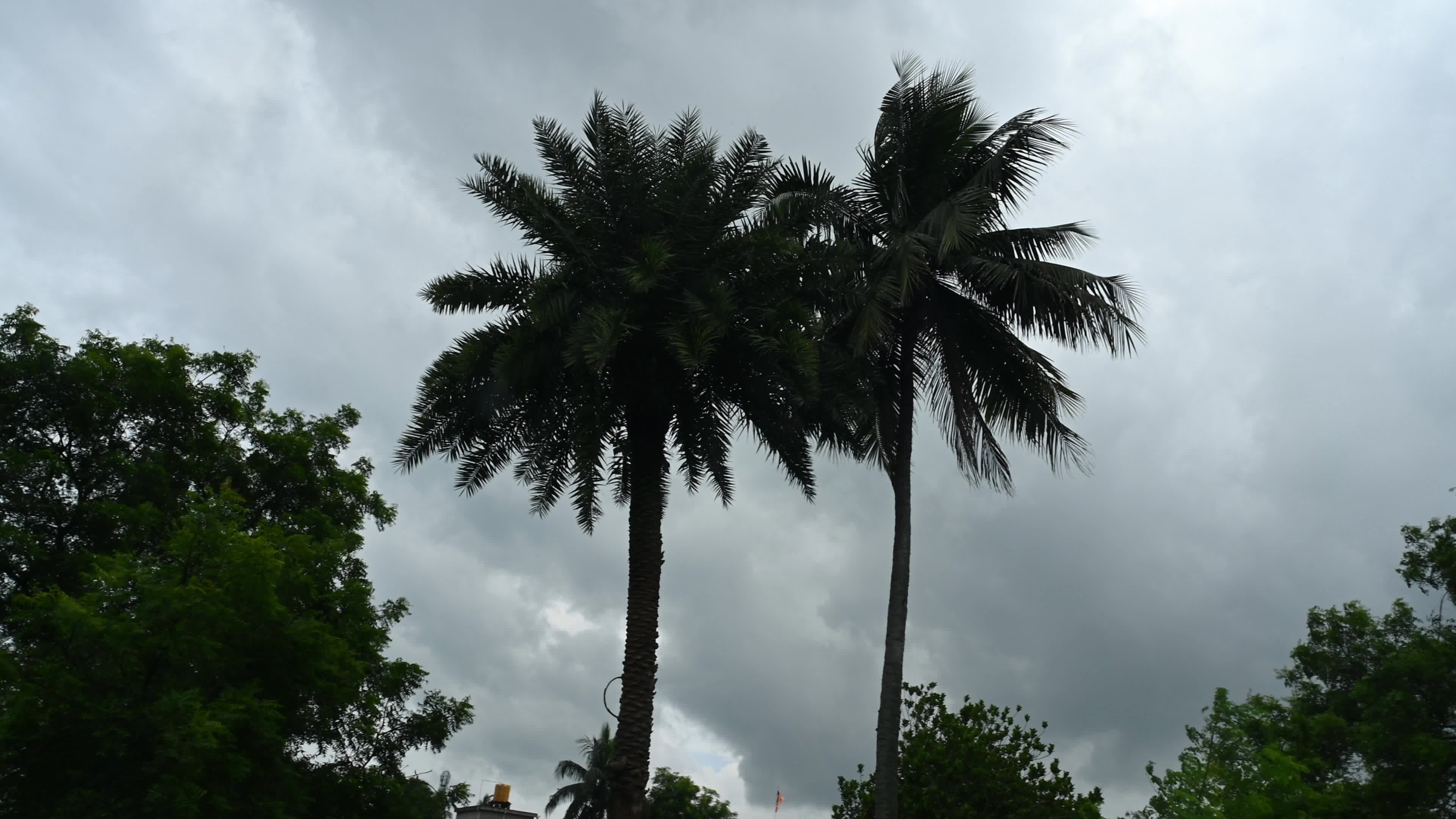 Cyclonic Storm Arnab - India Meteorological Department (IMD)
