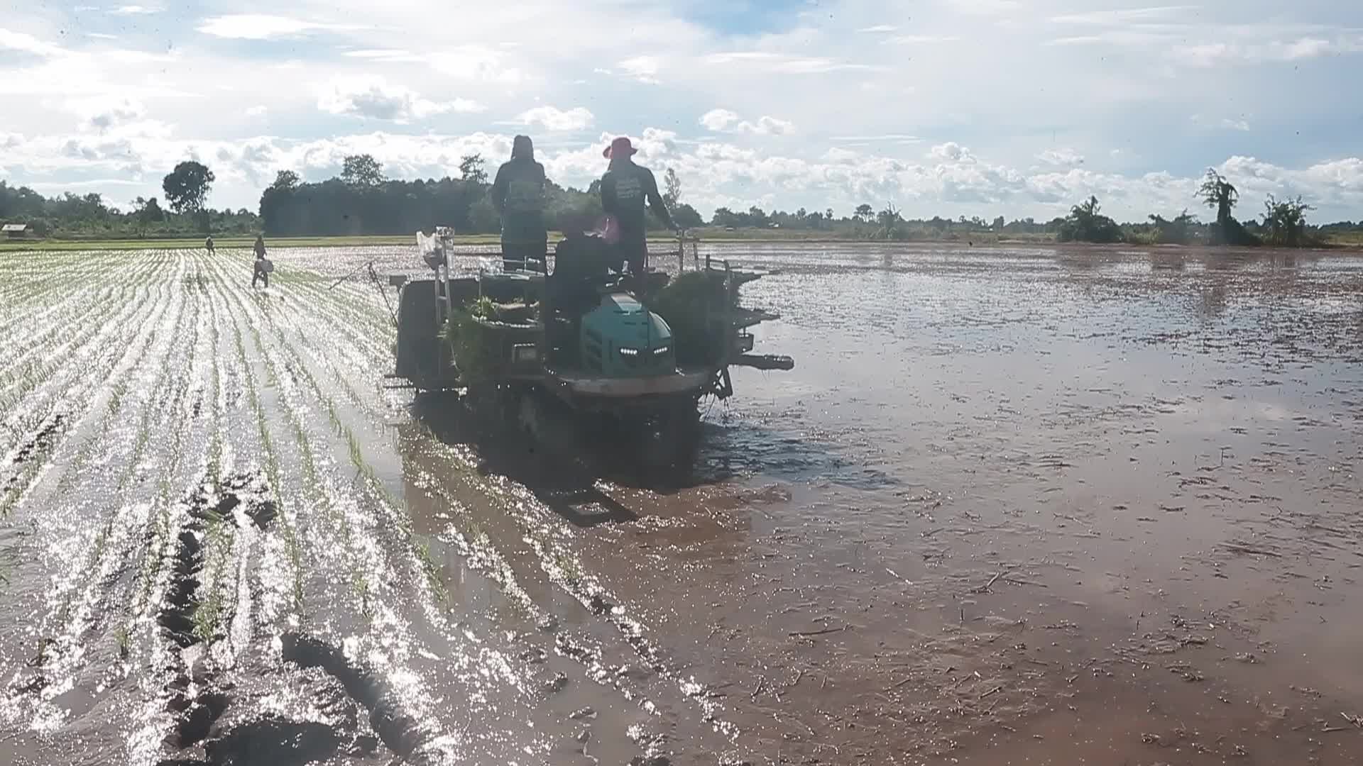 Thailand-Daily Life/Agriculture