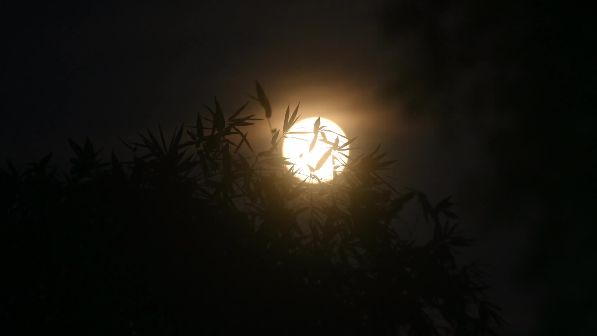 September Full Moon - Harvest Moon