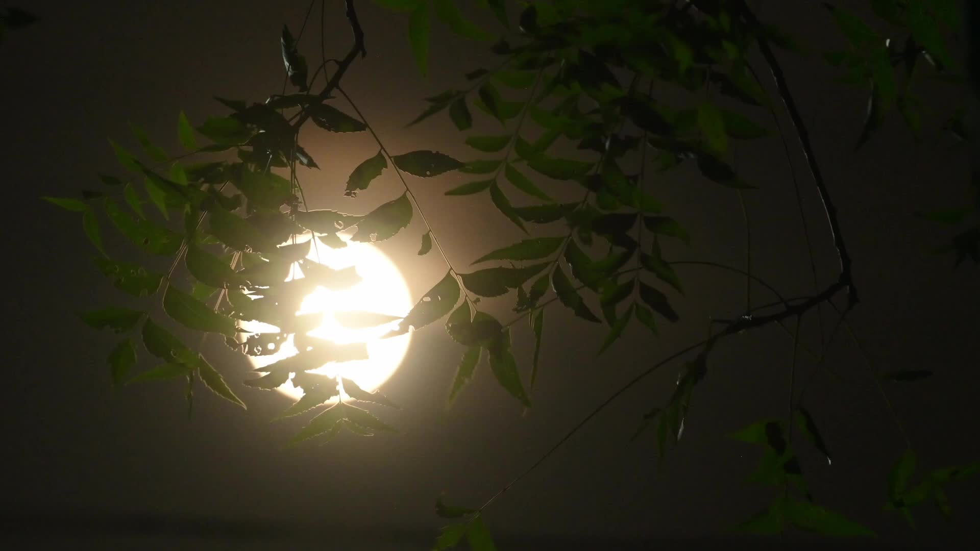 September Full Moon - Harvest Moon