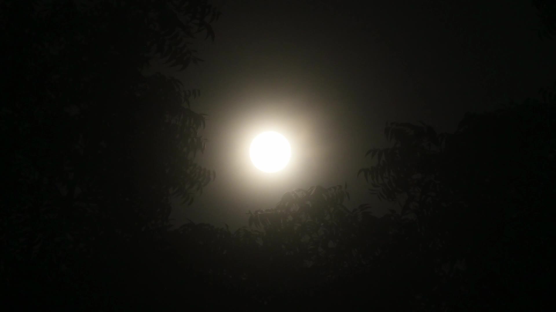 September Full Moon - Harvest Moon
