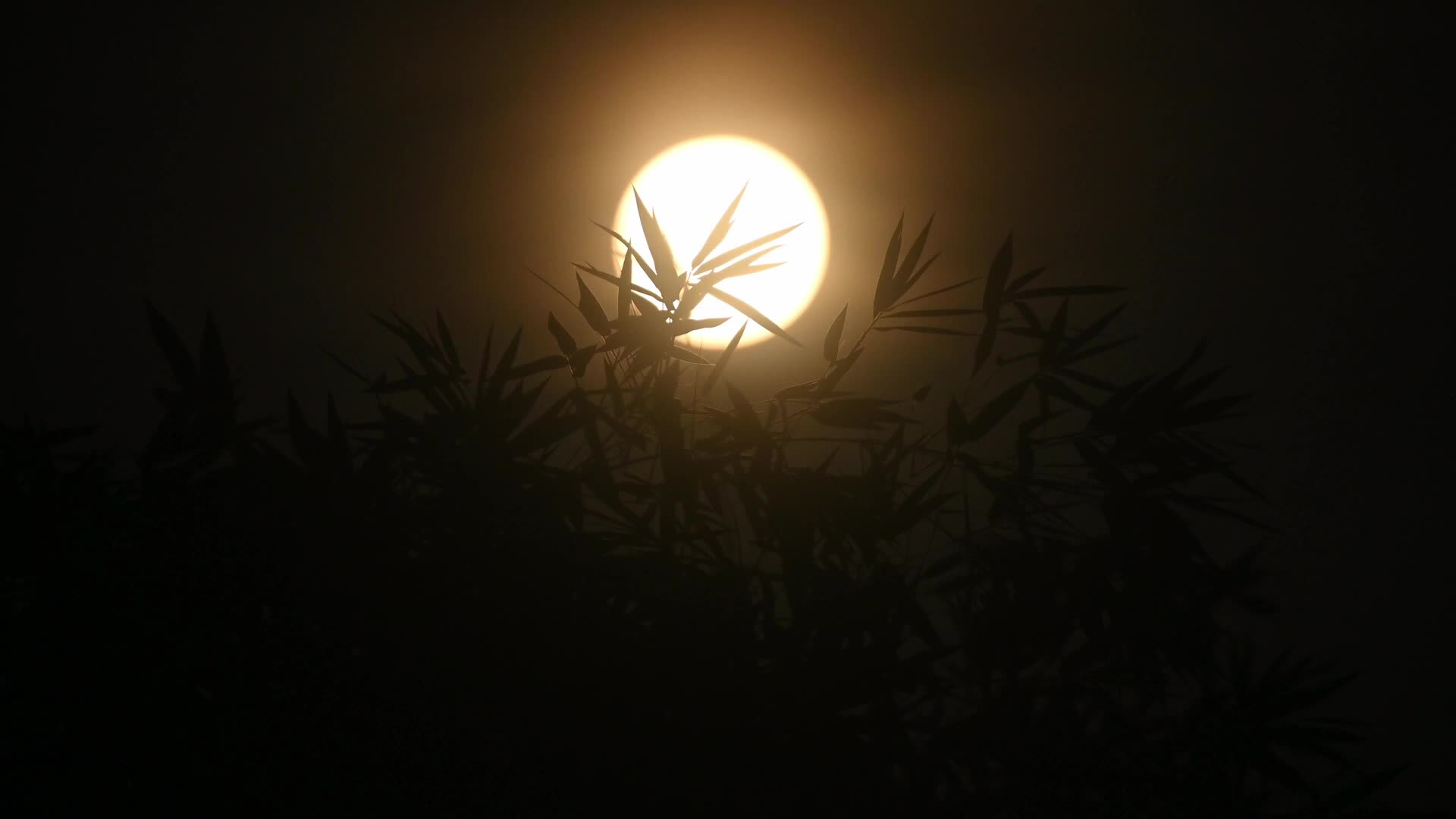 September Full Moon - Harvest Moon