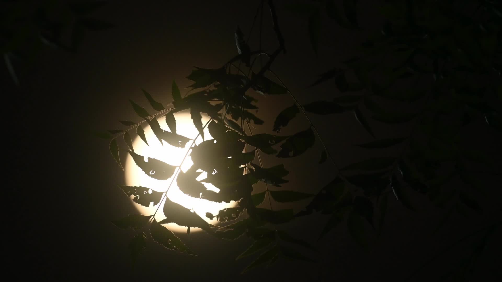 September Full Moon - Harvest Moon