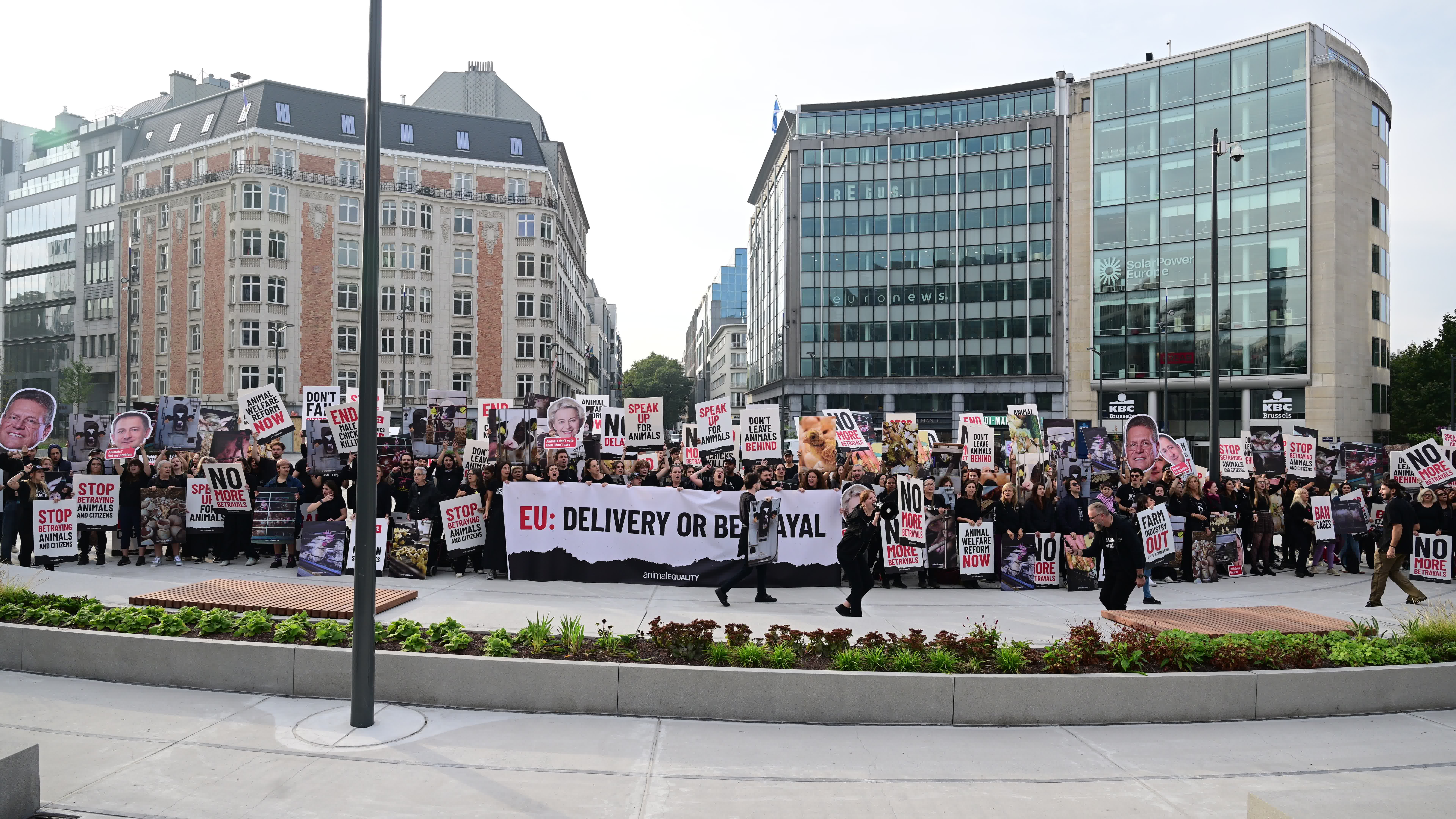 Animal Equality demonstration in Brussels