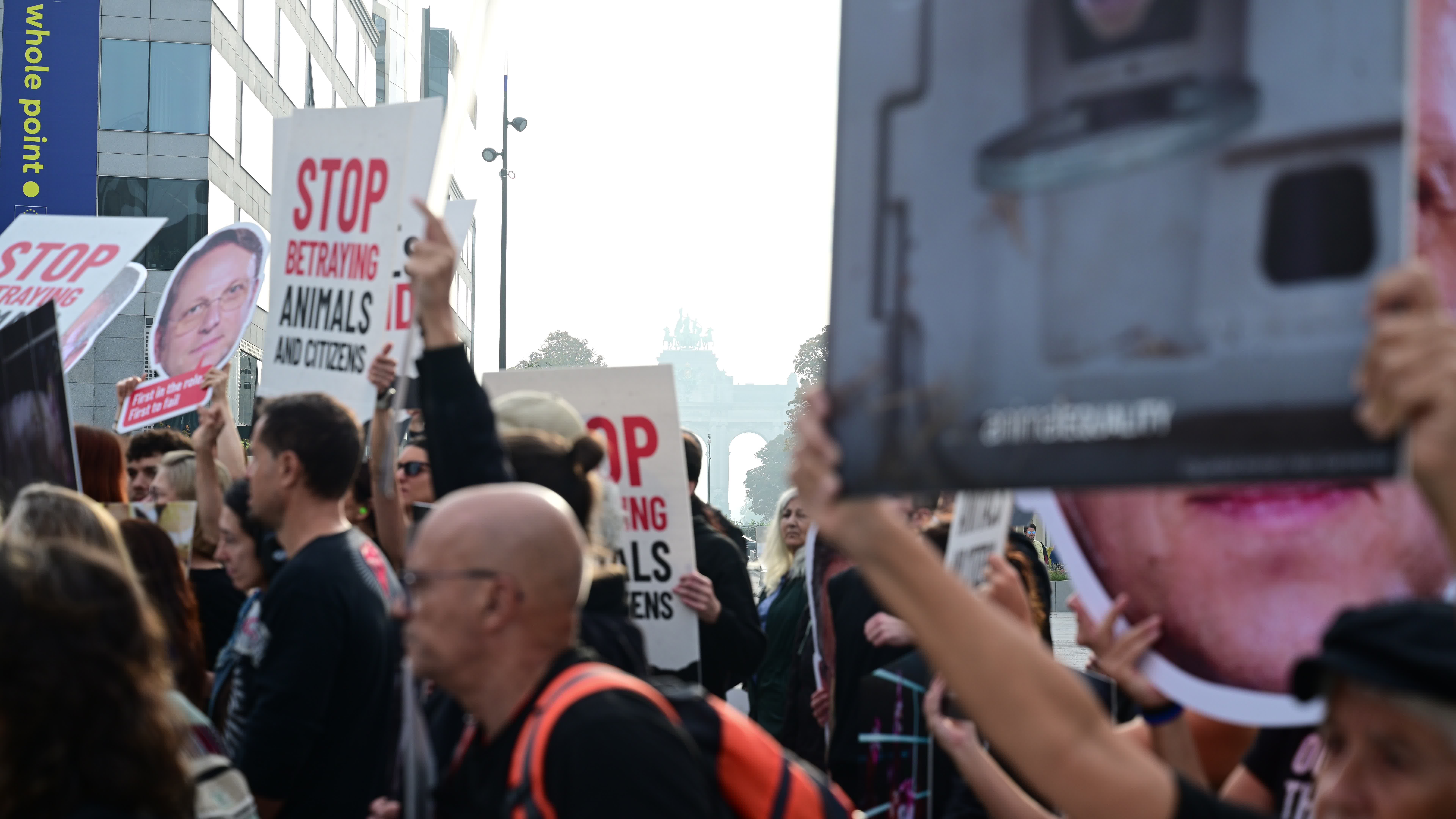 Animal Equality demonstration in Brussels