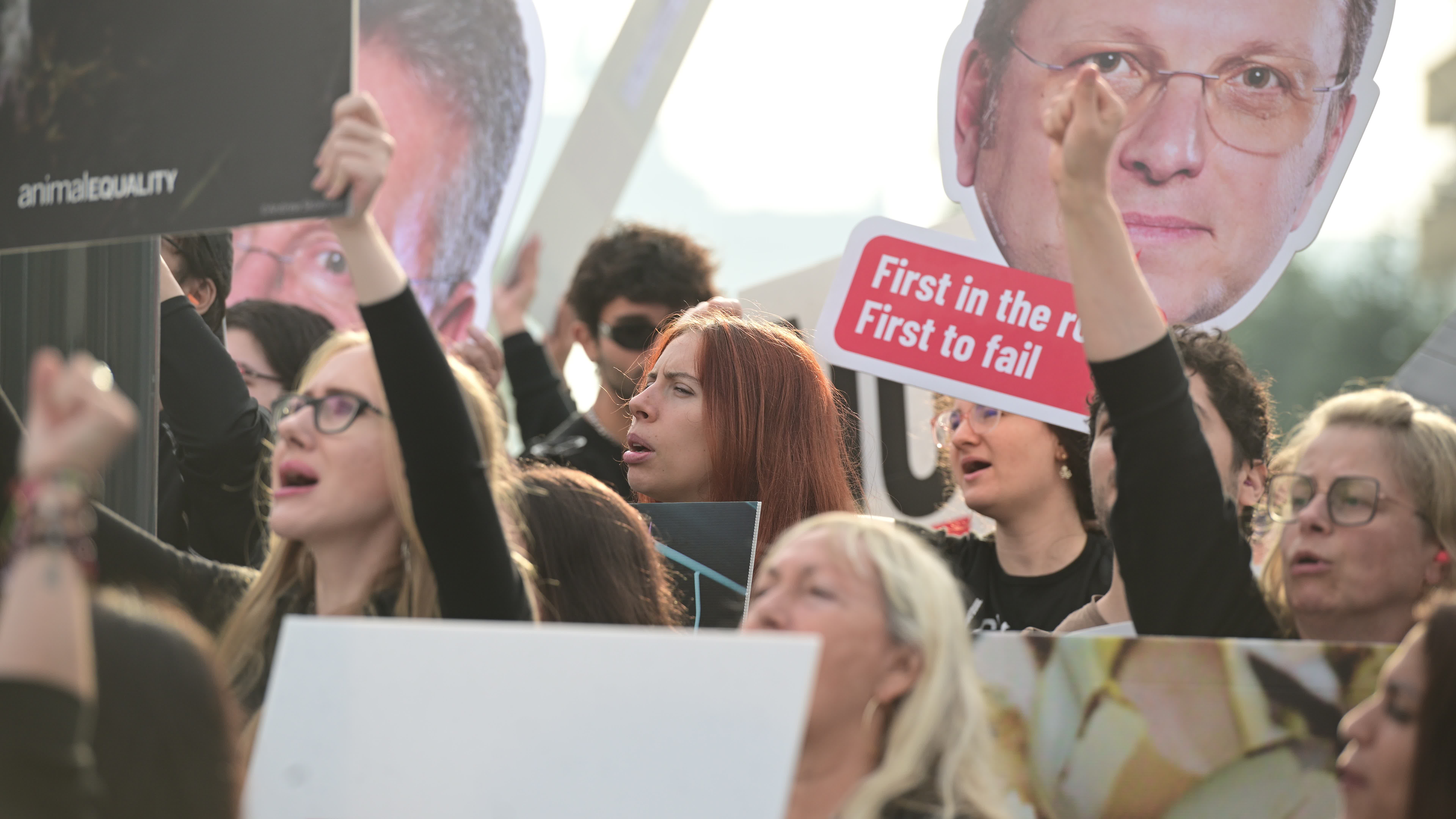 Animal Equality demonstration in Brussels