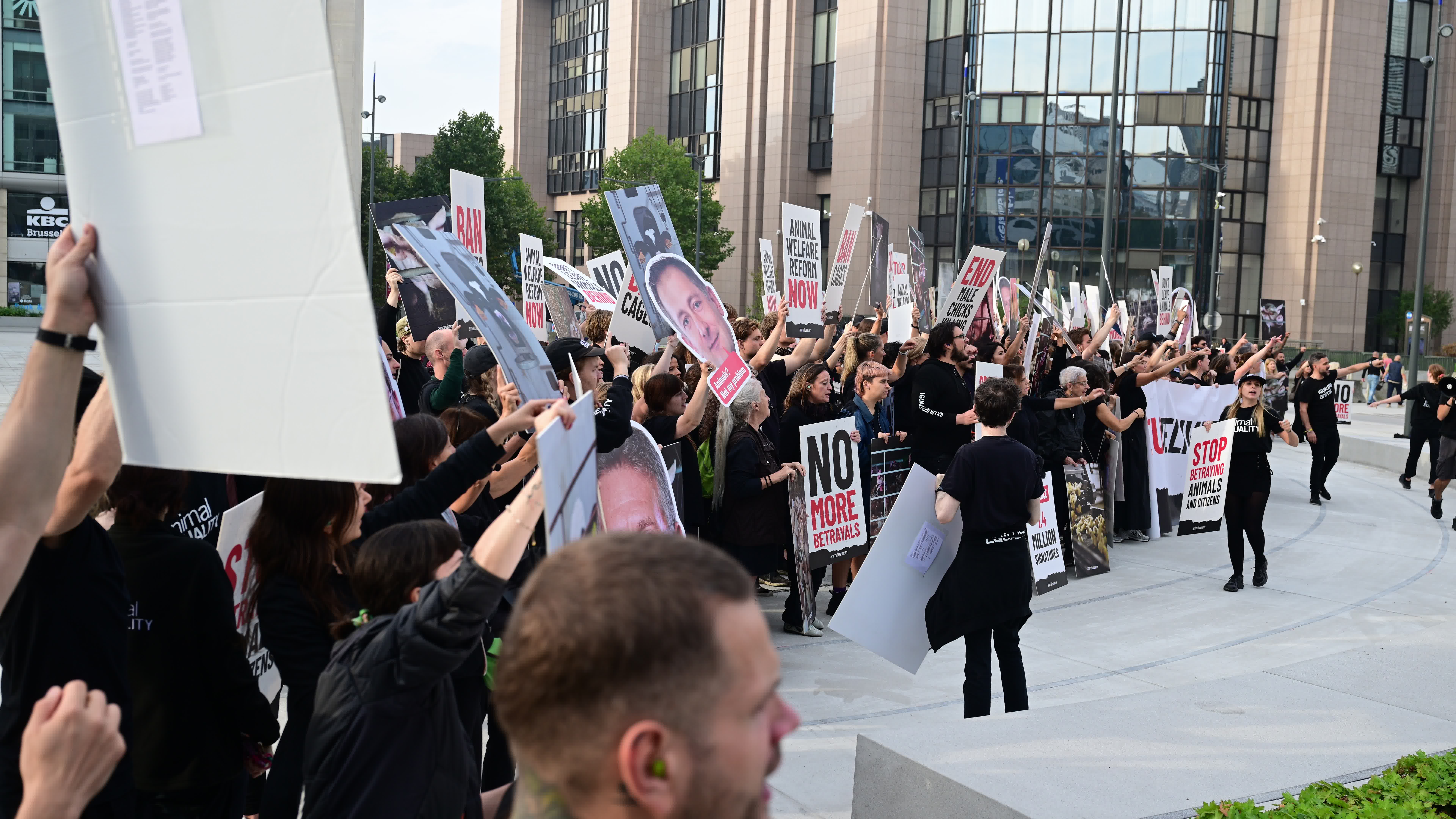 Animal Equality demonstration in Brussels