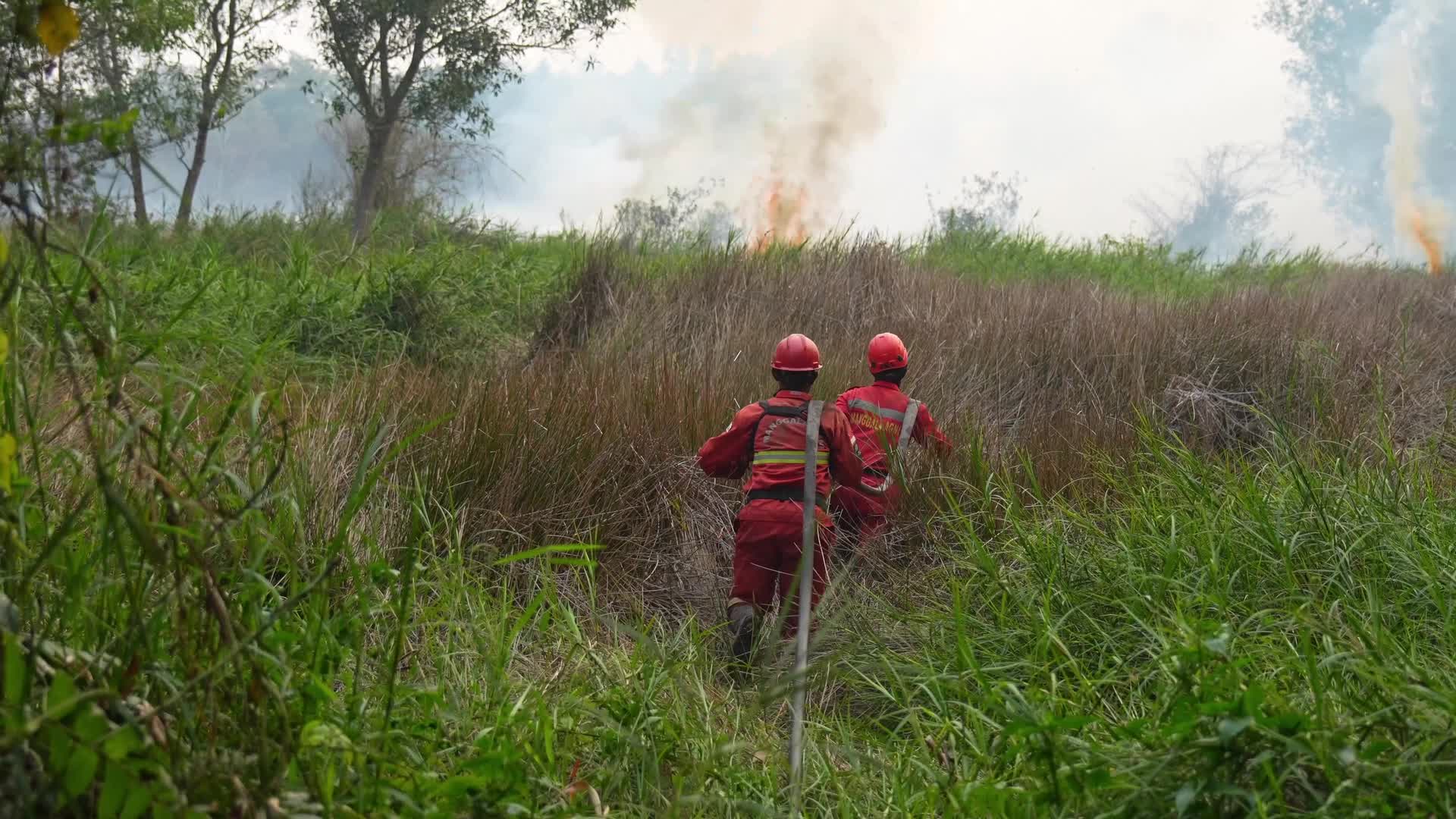 Large Wildfire Breaks Out in Palembang, Indonesia
