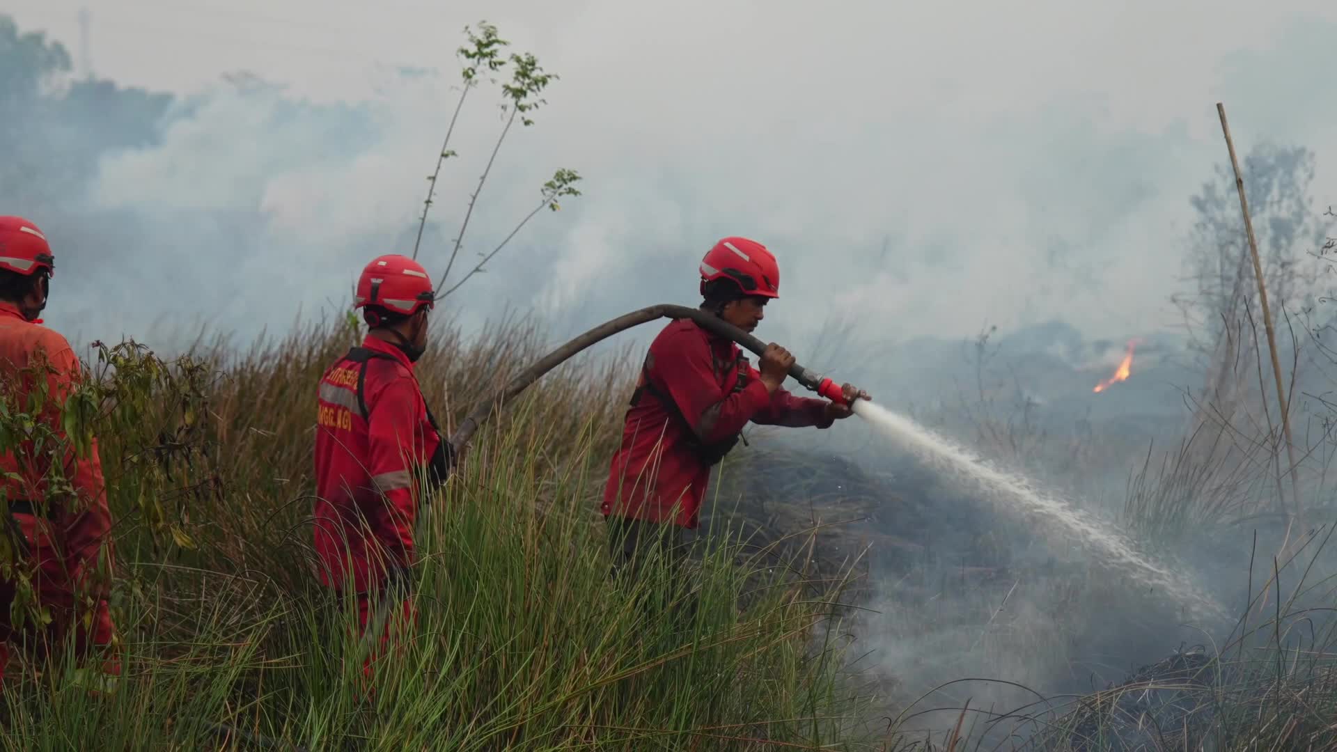 Large Wildfire Breaks Out in Palembang, Indonesia