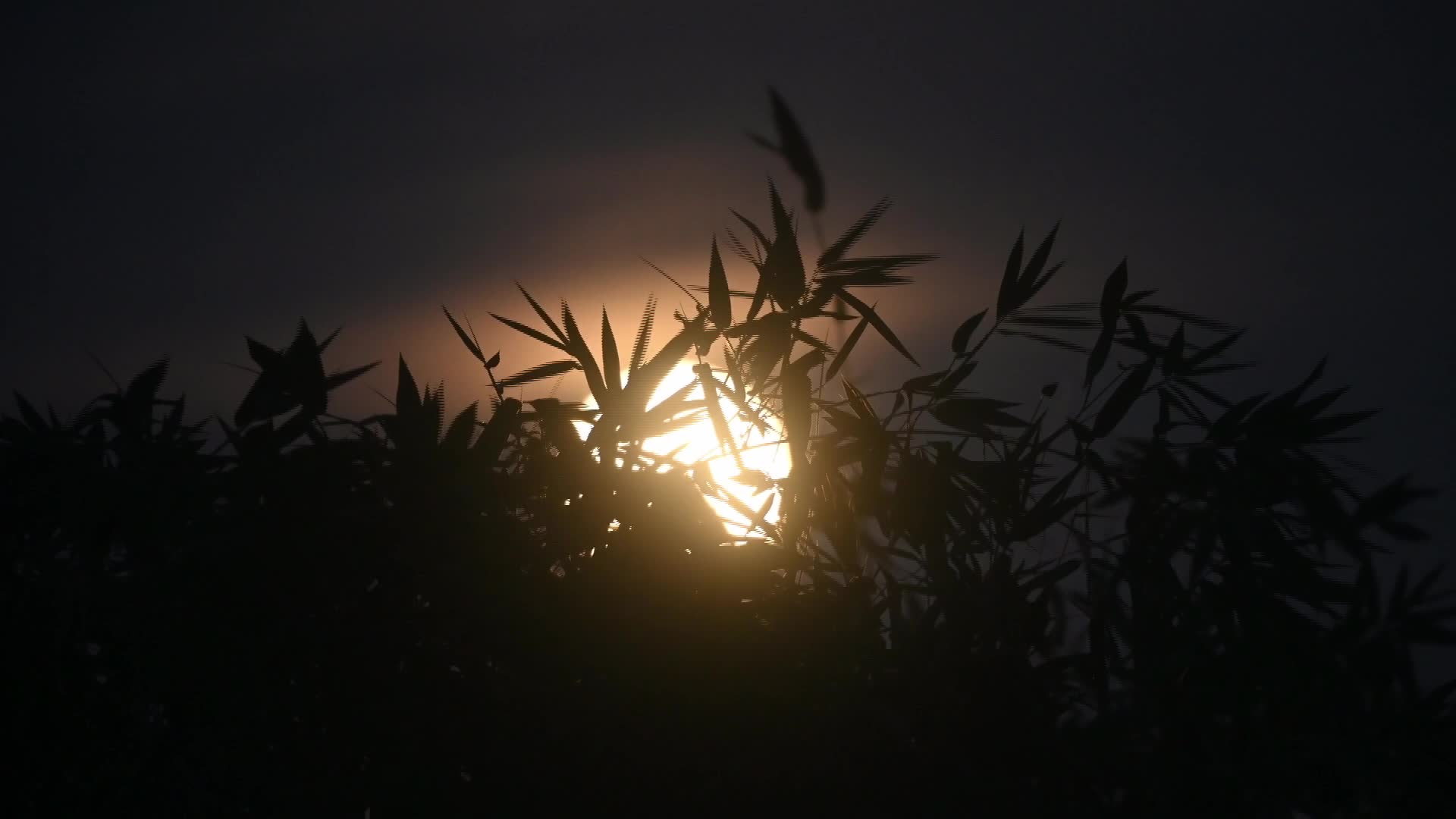 September Full Moon - Harvest Moon - 09/26/2026