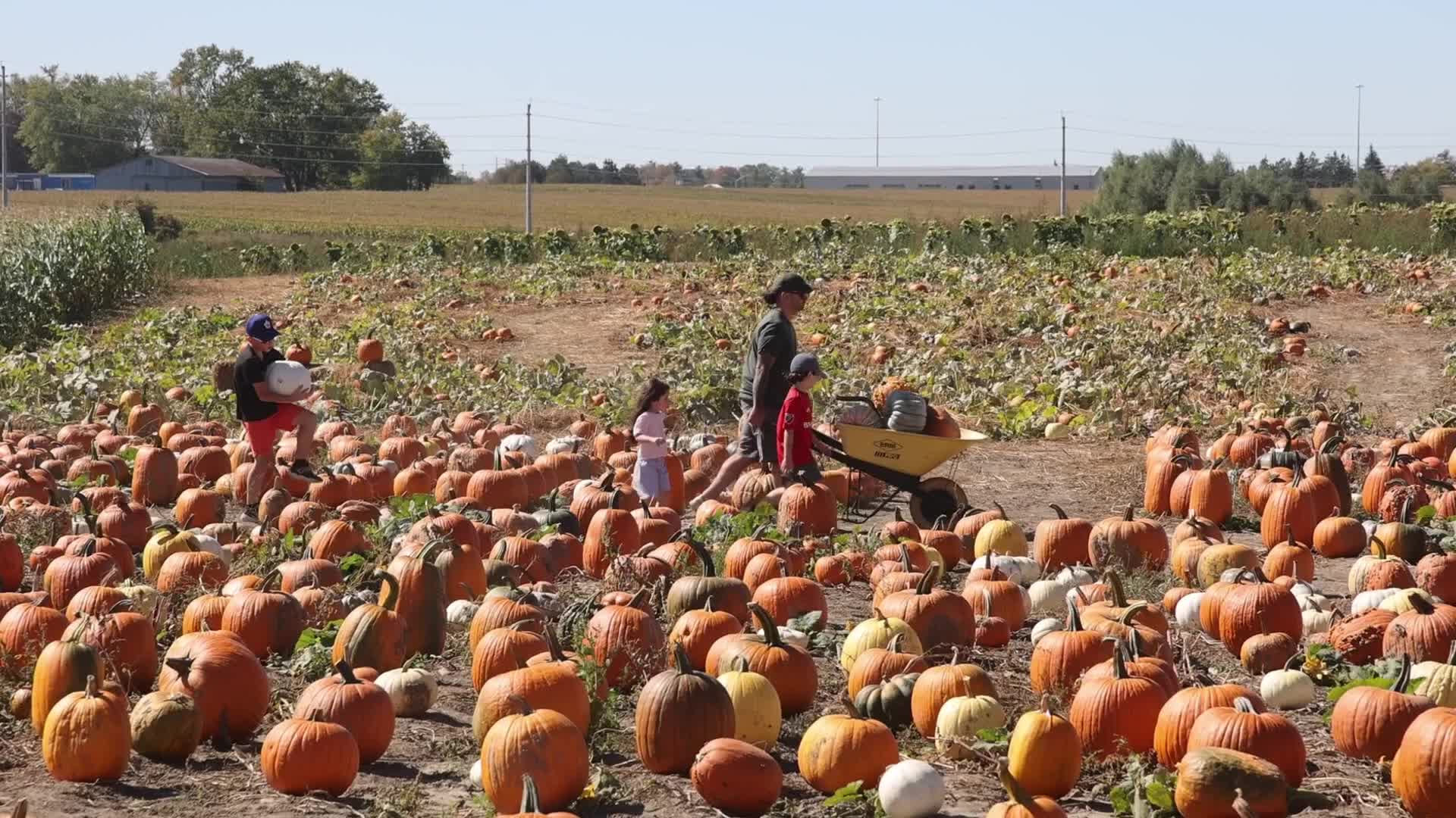 Autumn season arrives in Canada