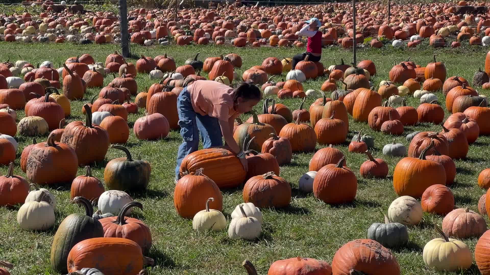 Autumn season arrives in Canada