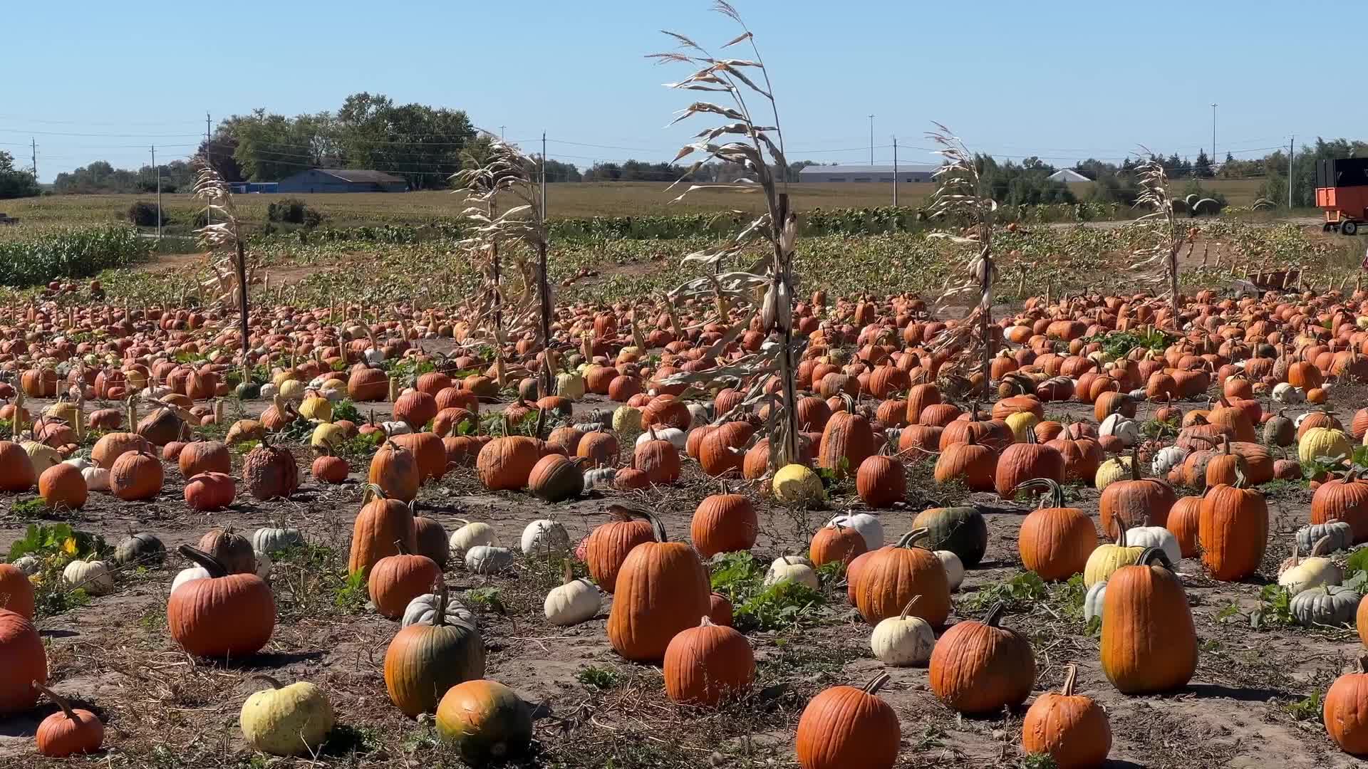 Autumn season arrives in Canada