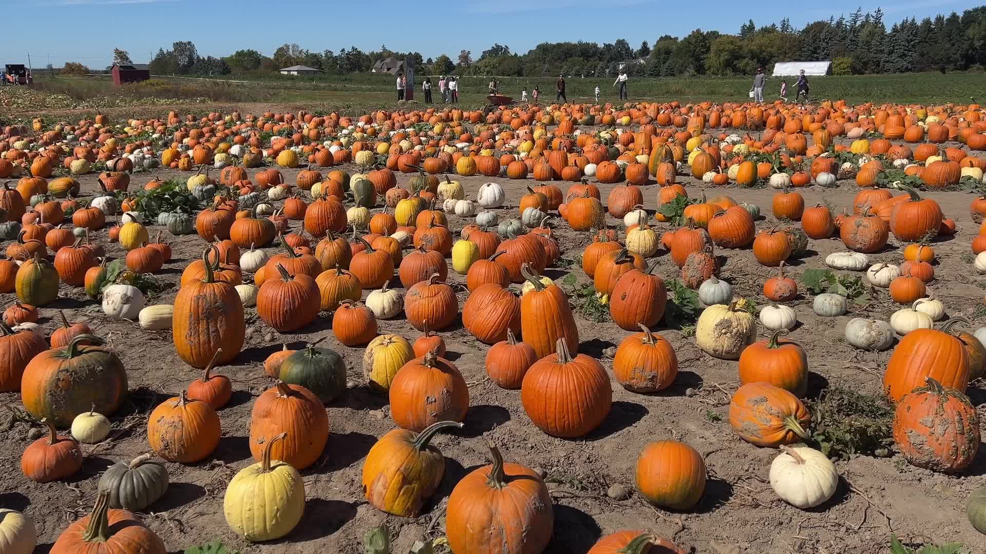 Autumn season arrives in Canada