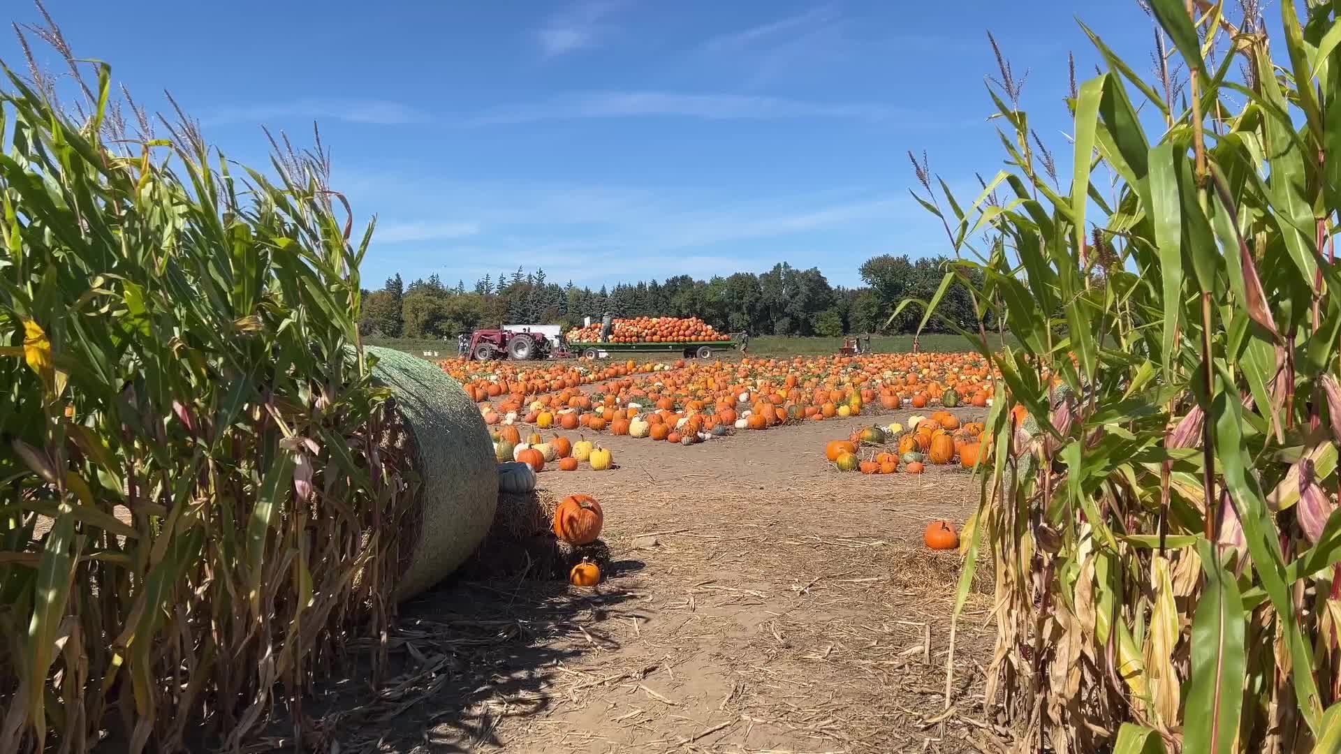 Autumn season arrives in Canada