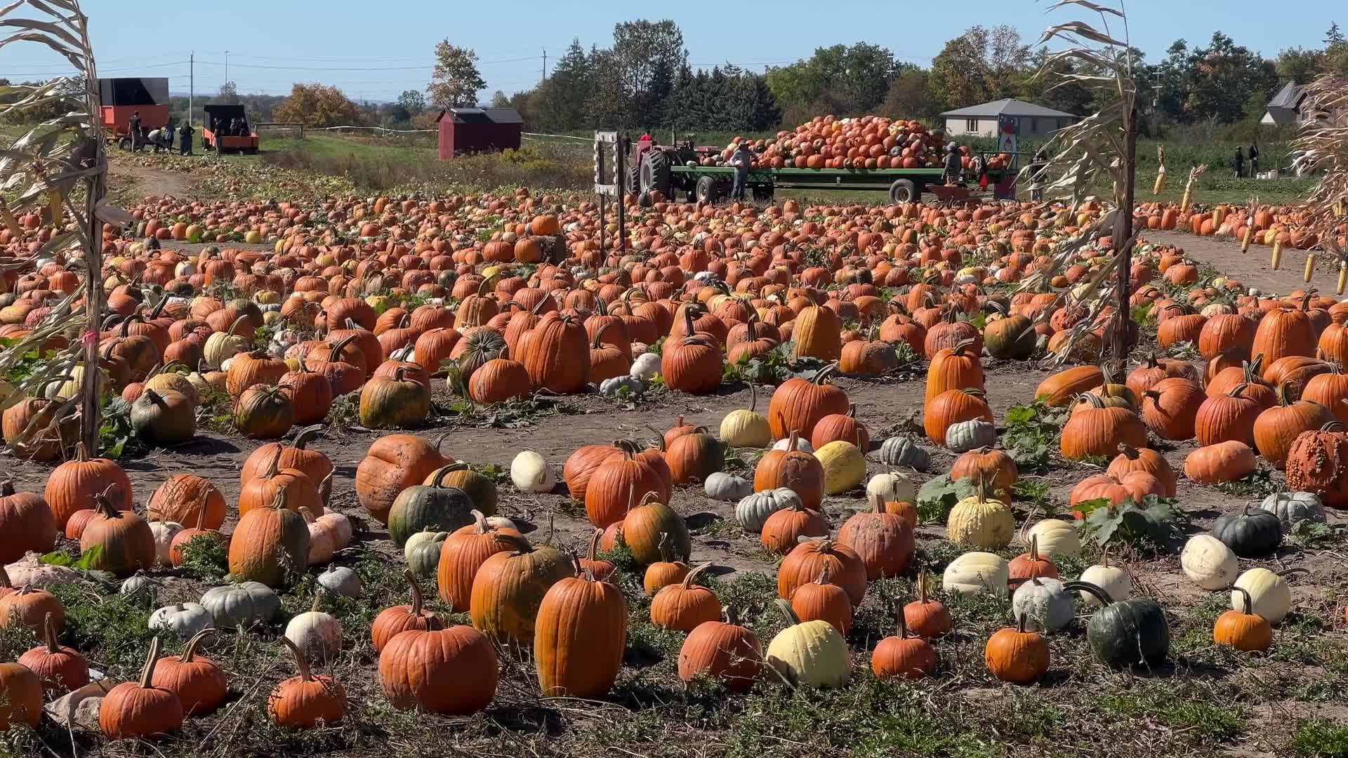 Autumn season arrives in Canada