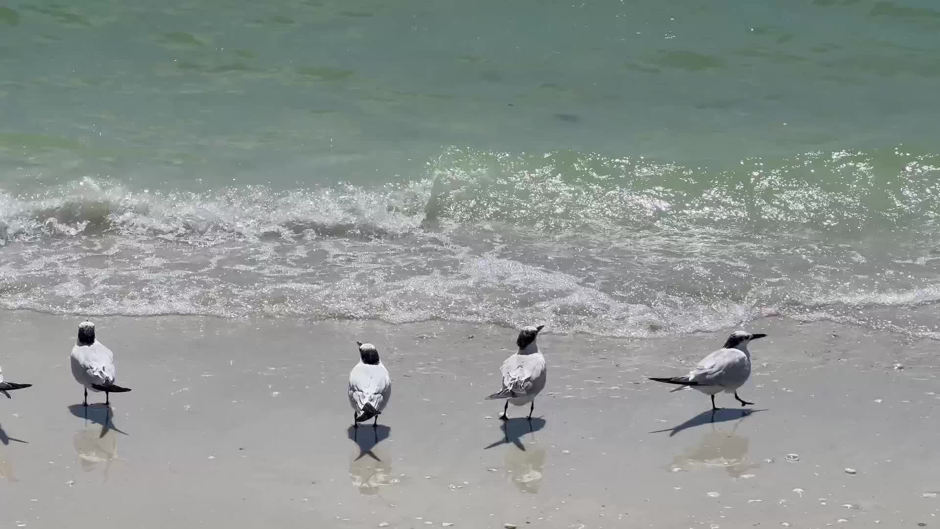Daily life in Florida, USA