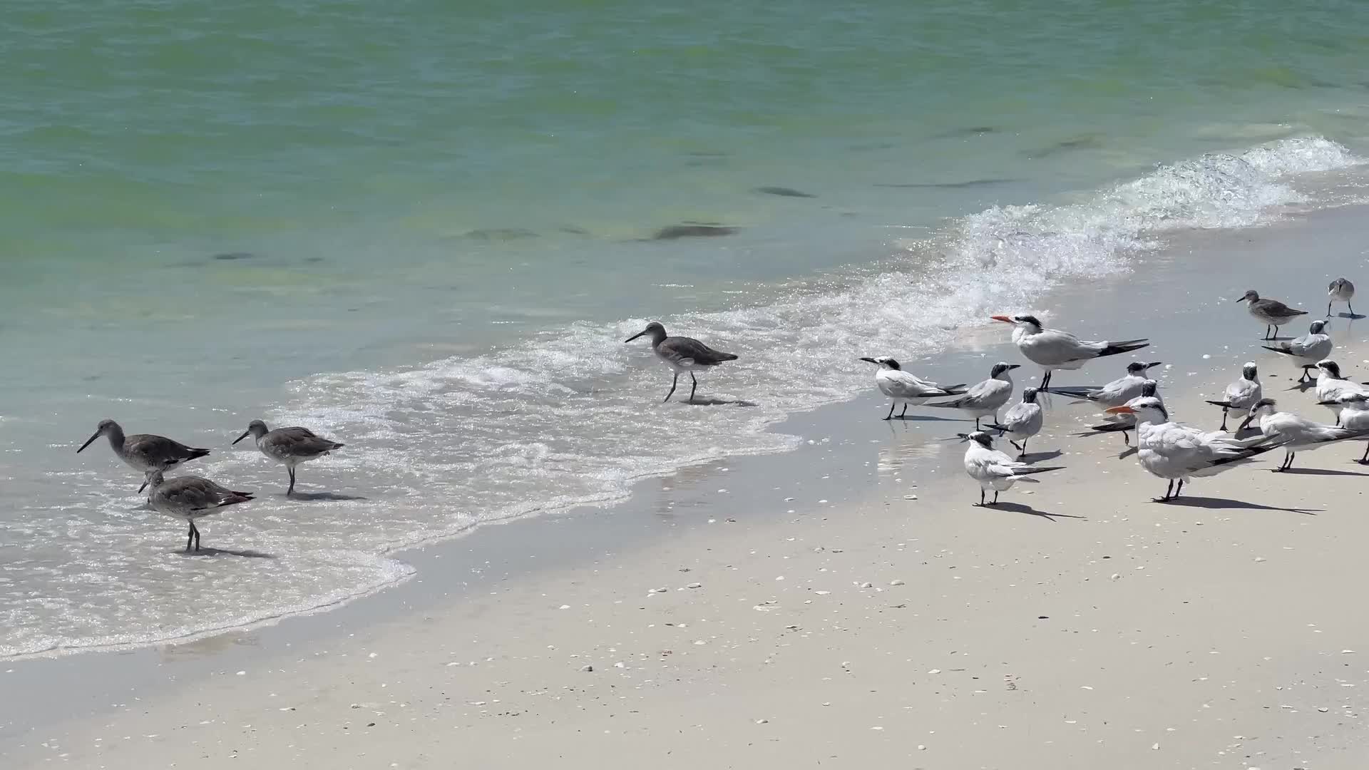 Daily life in Florida, USA