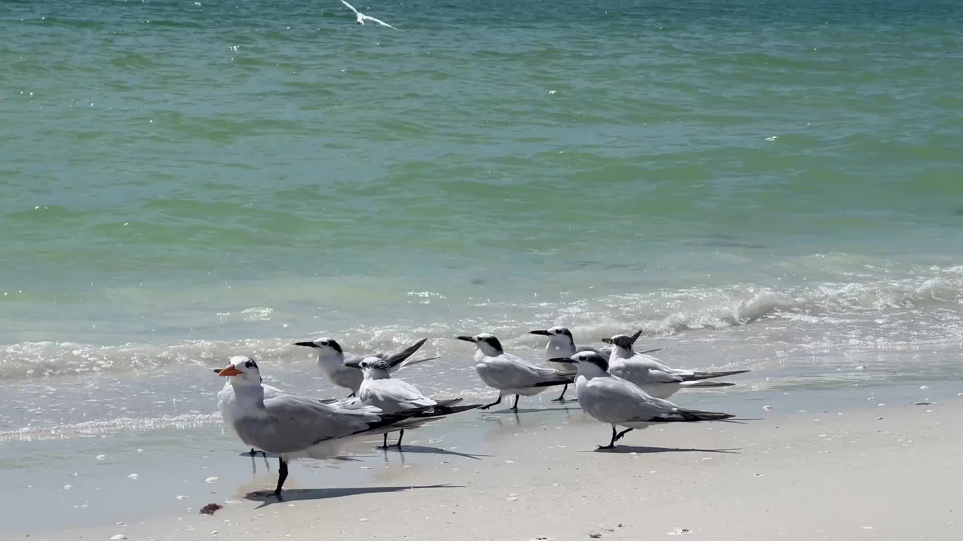 Daily life in Florida, USA