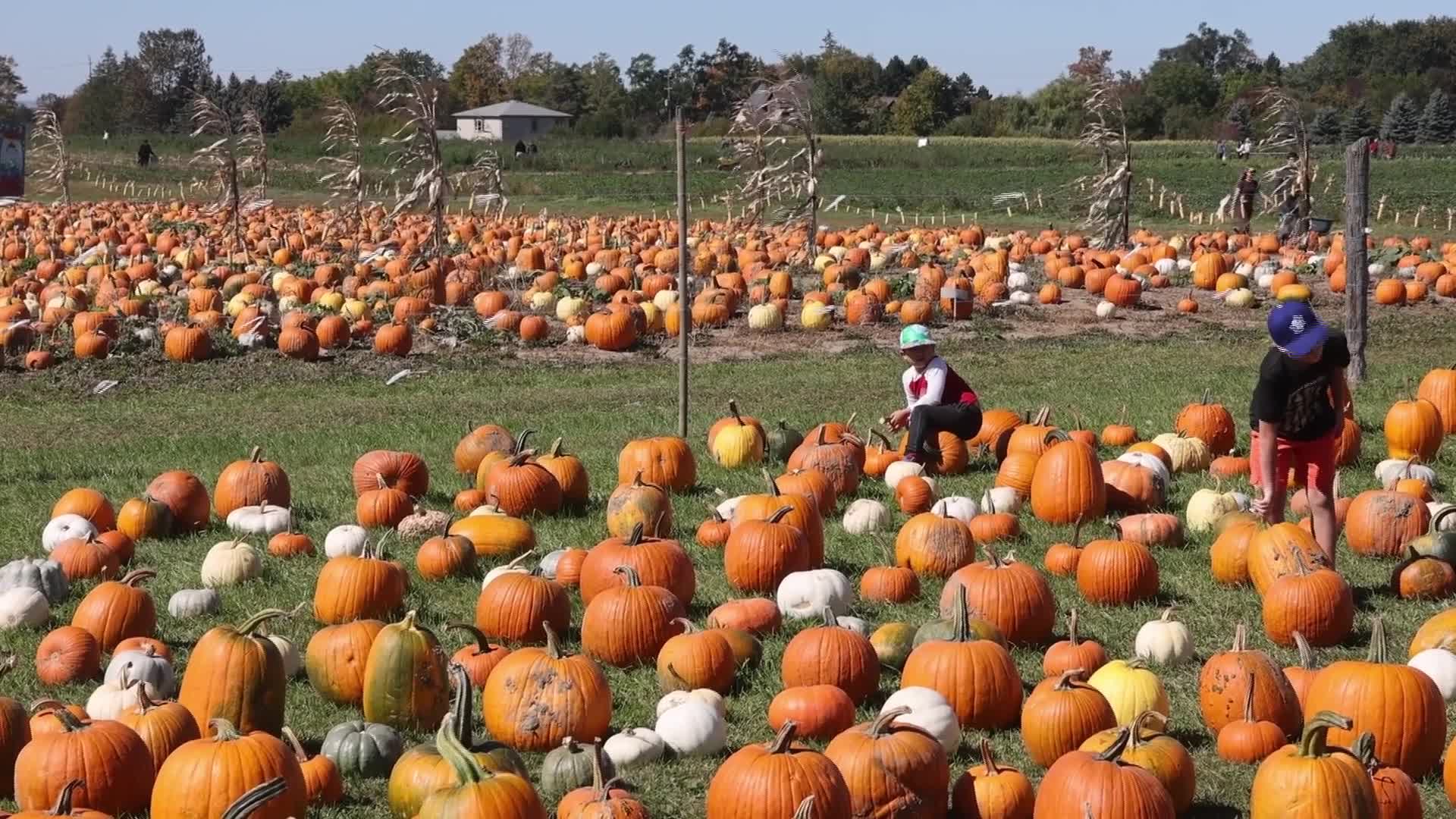 Autumn season arrives in Canada - 09/27/2026
