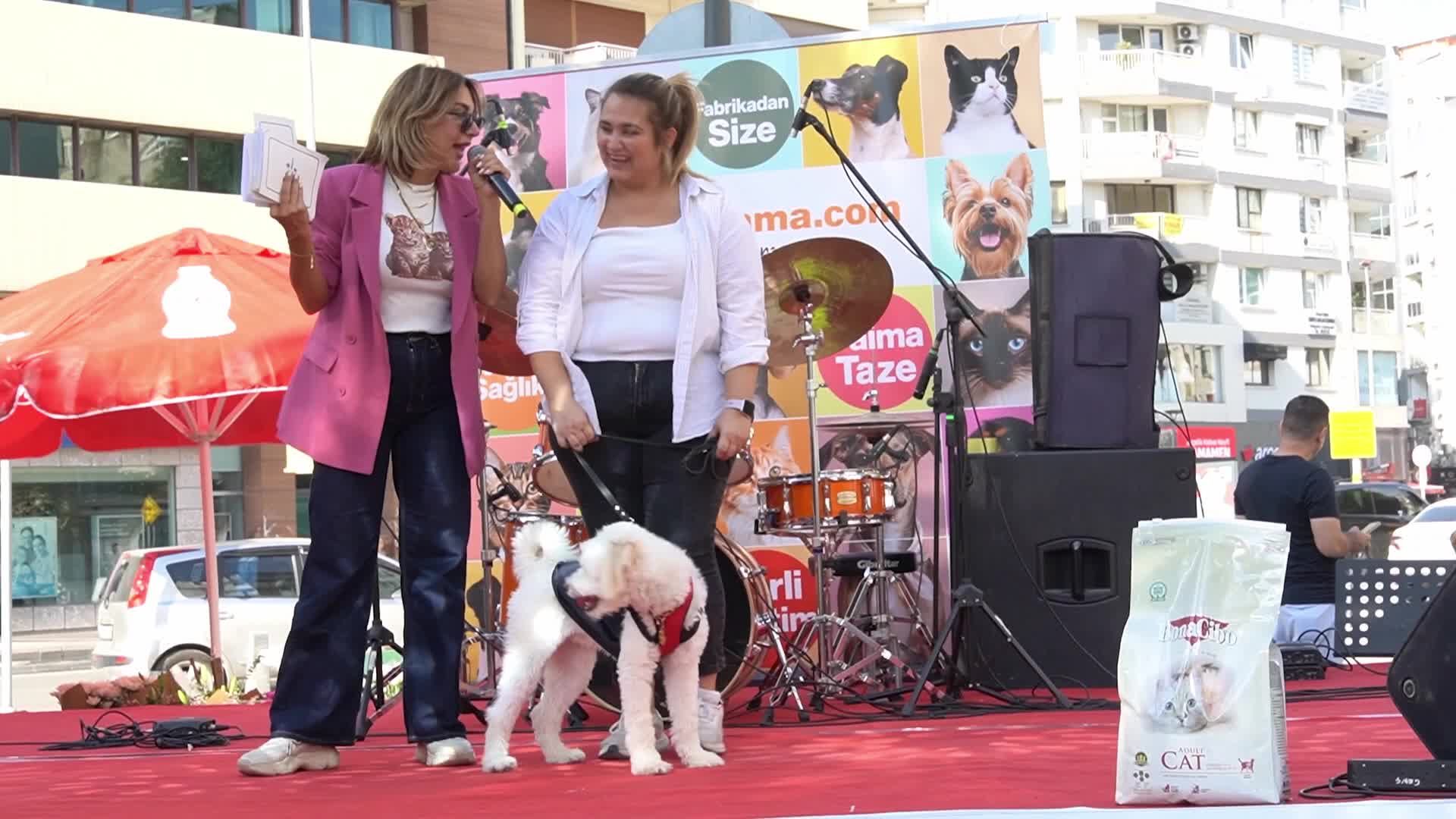Paws Festival: Pet Contests and Adoption Event