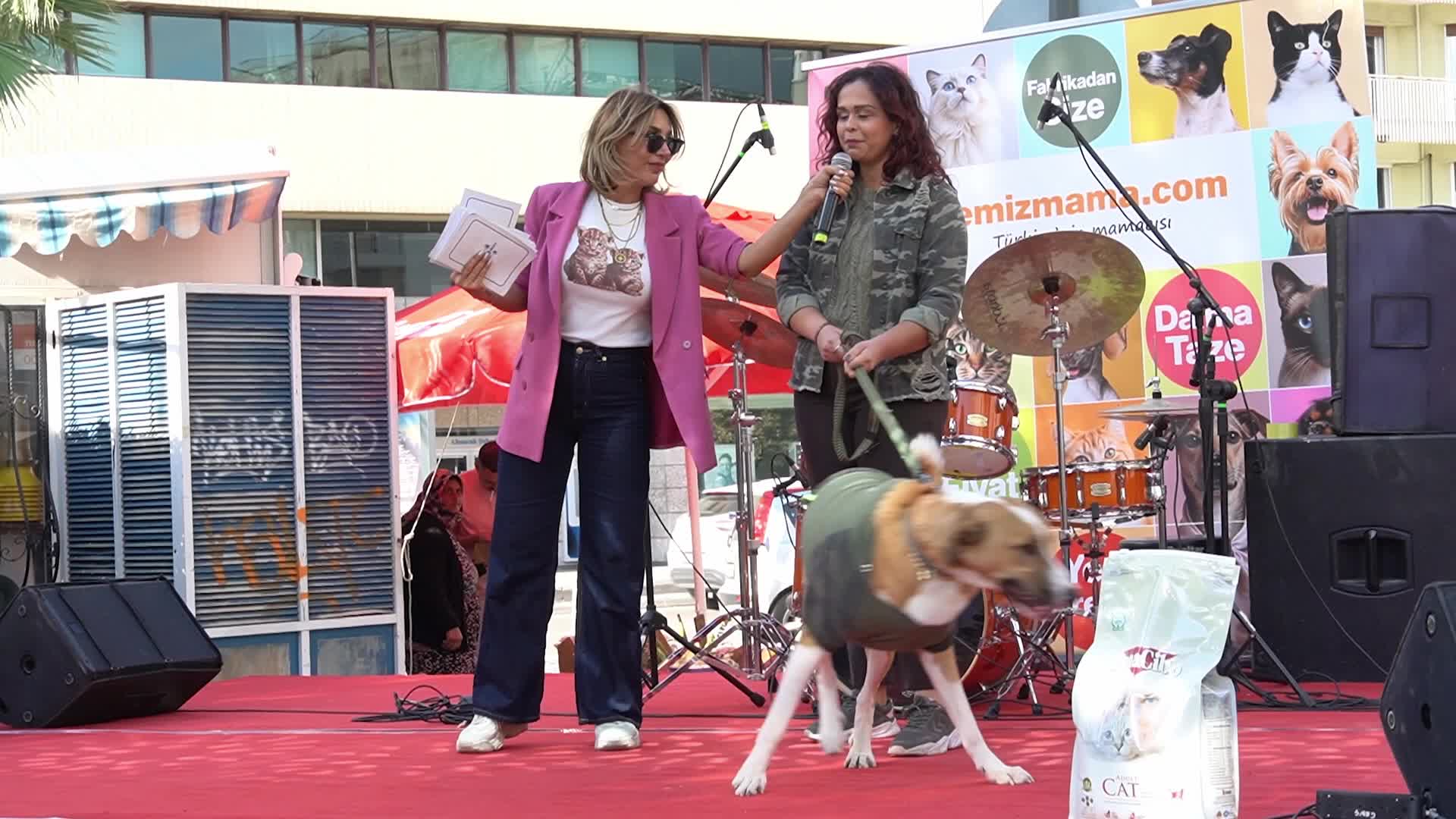 Paws Festival: Pet Contests and Adoption Event