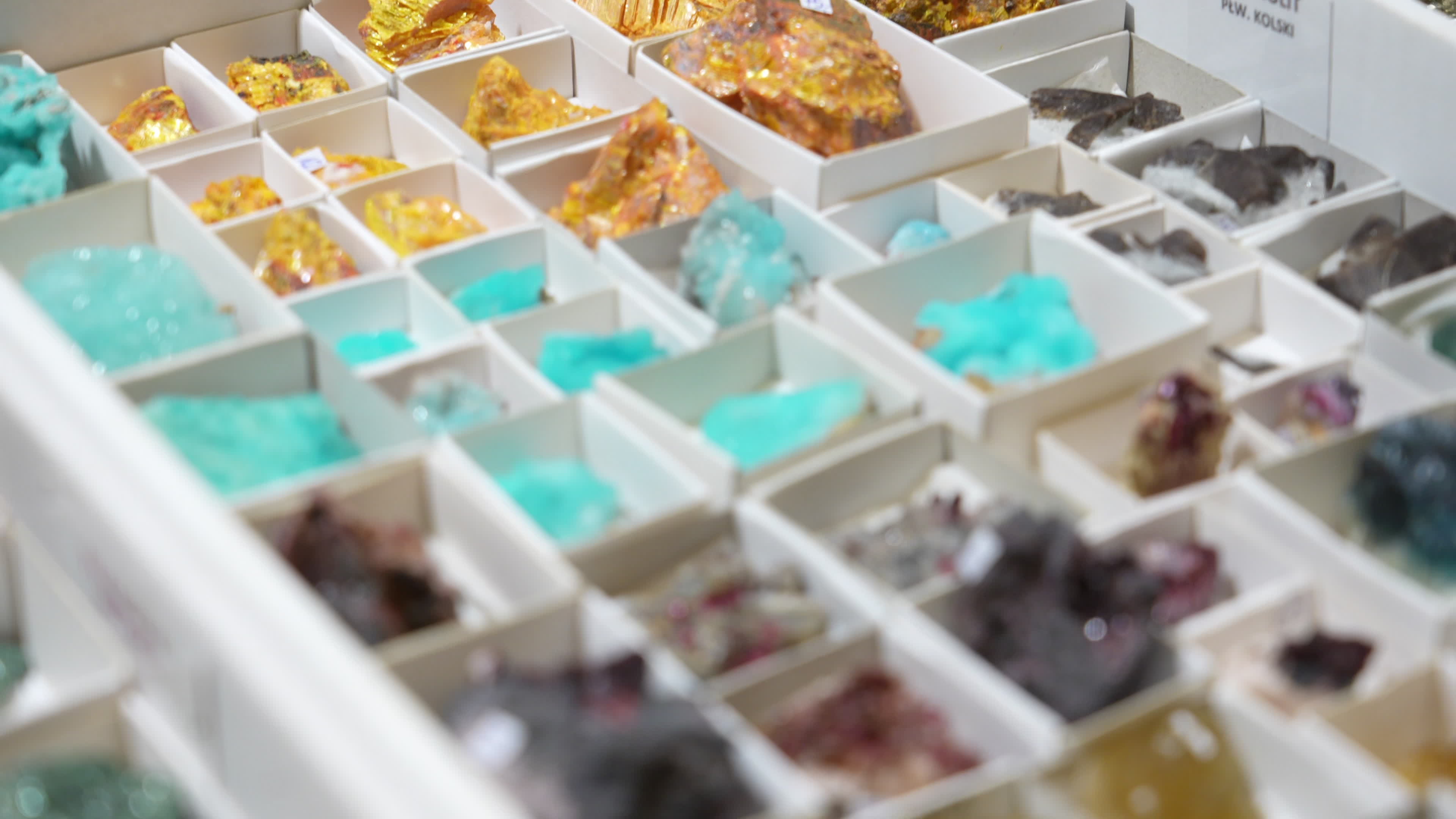Warsaw Mineral and Jewellery Expo