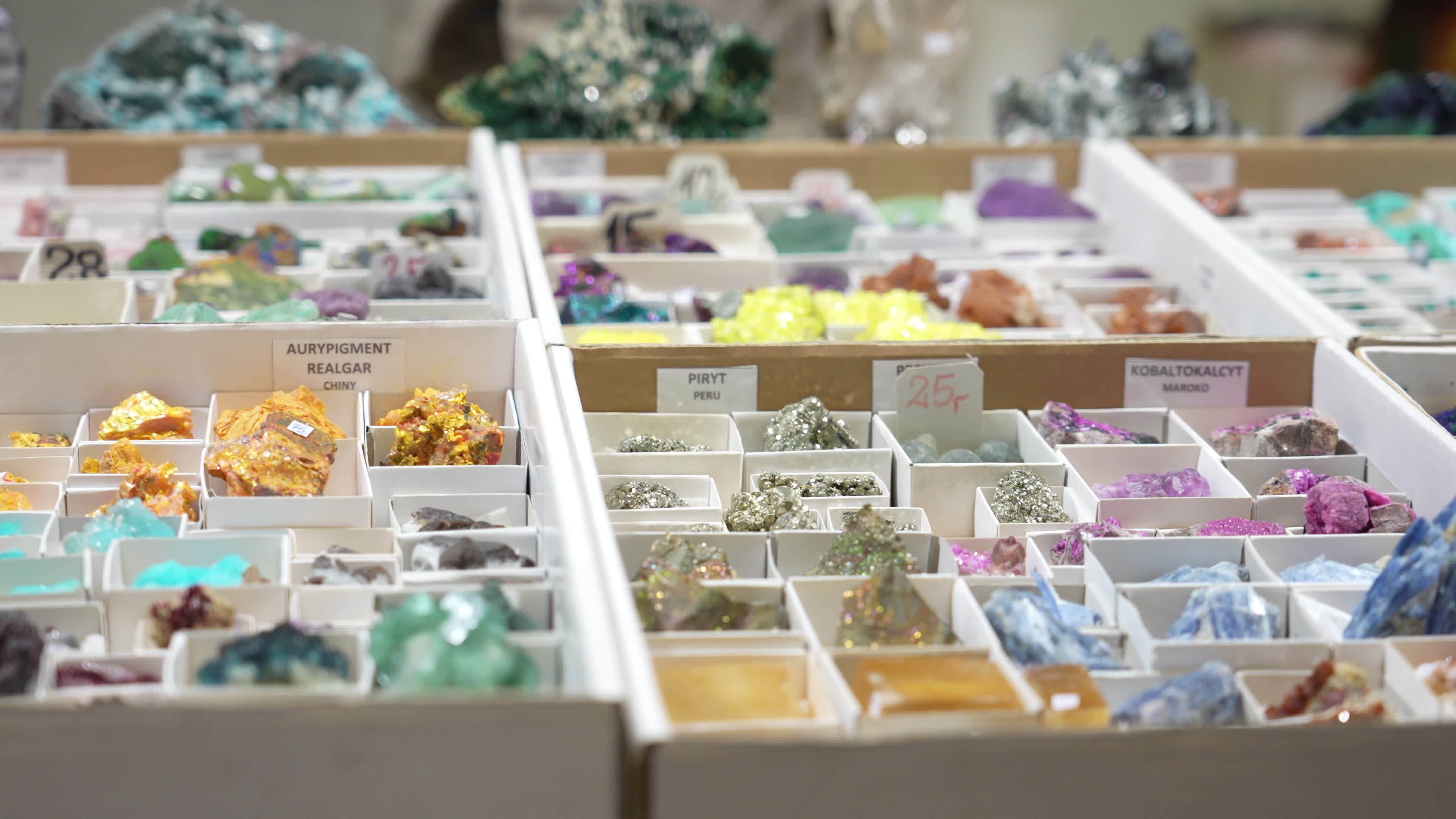 Warsaw Mineral and Jewellery Expo
