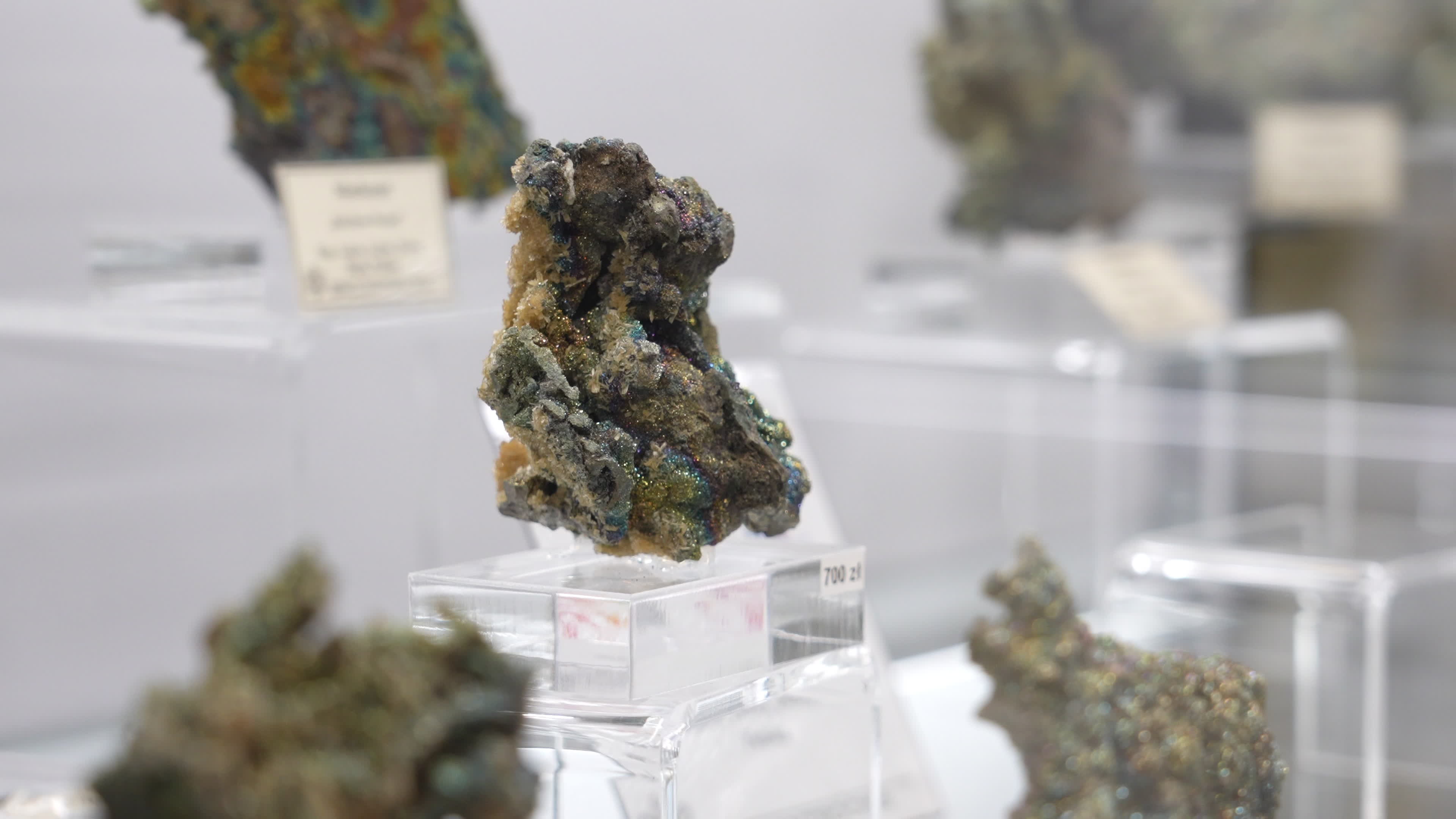 Warsaw Mineral and Jewellery Expo