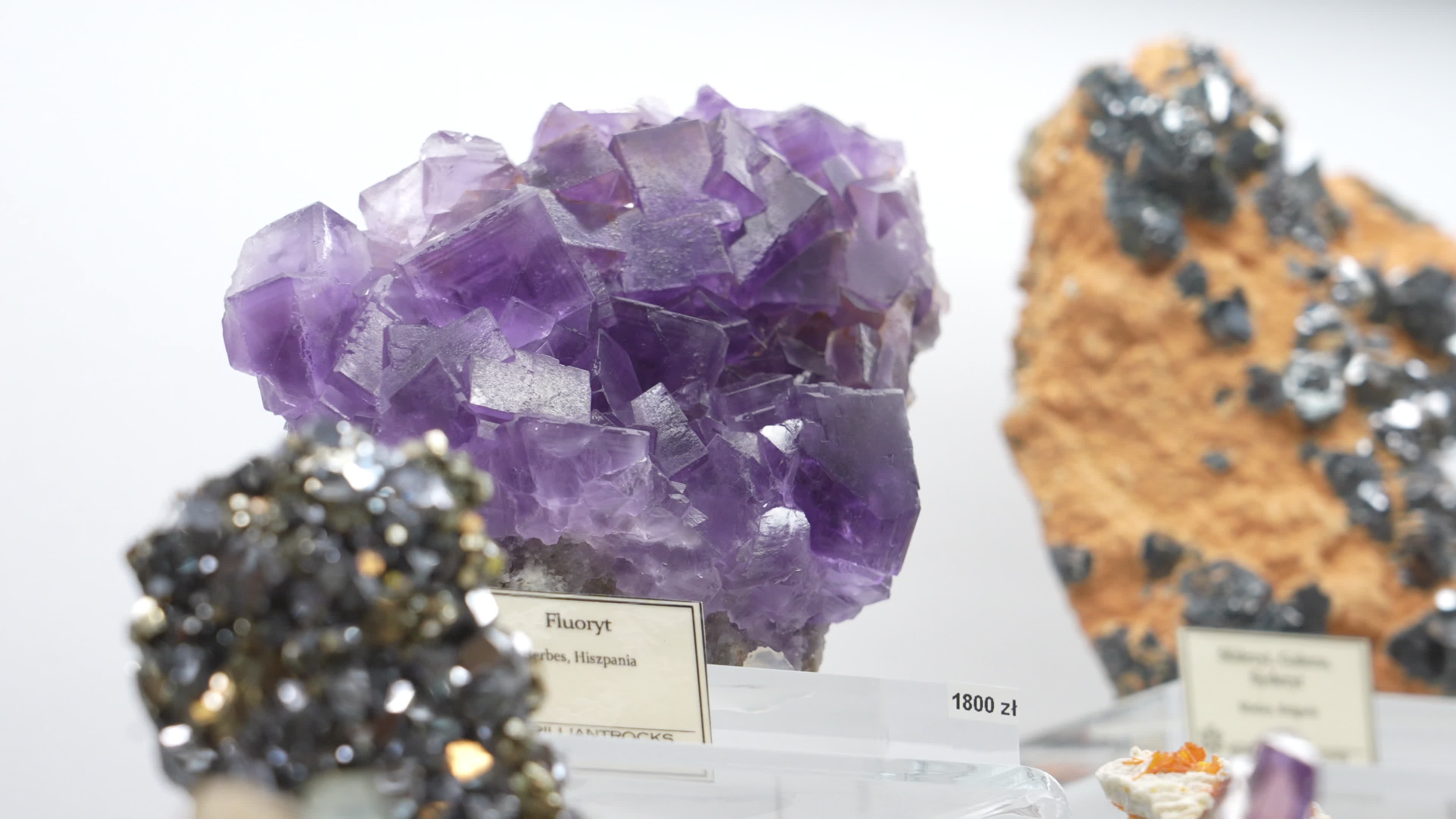 Warsaw Mineral and Jewellery Expo